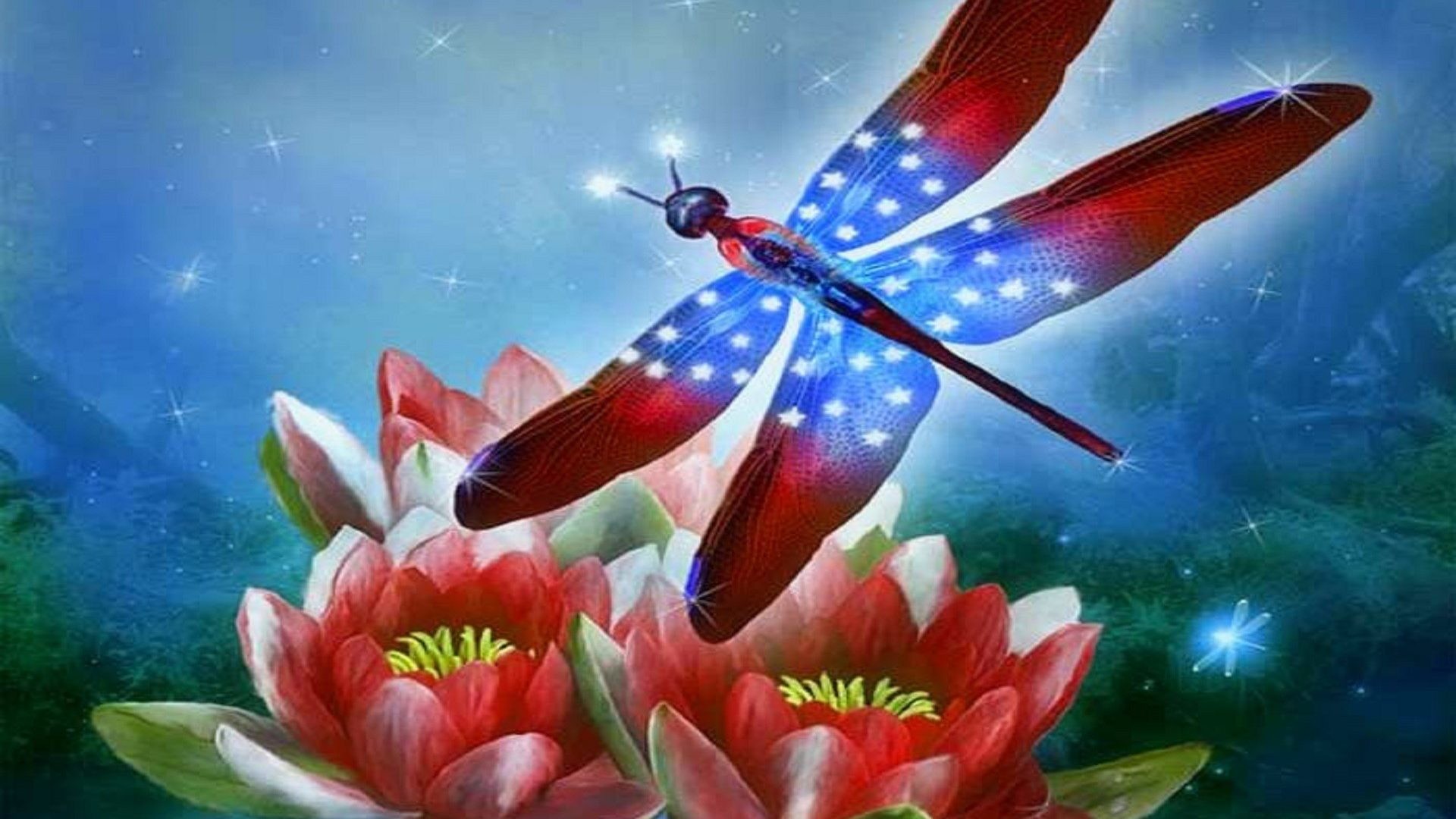 1920x1080 October 5, 2016 - Dragonfly Flowers Attractions Sparkle Art Four Creative  Pre Brilliant Lovely Valentines