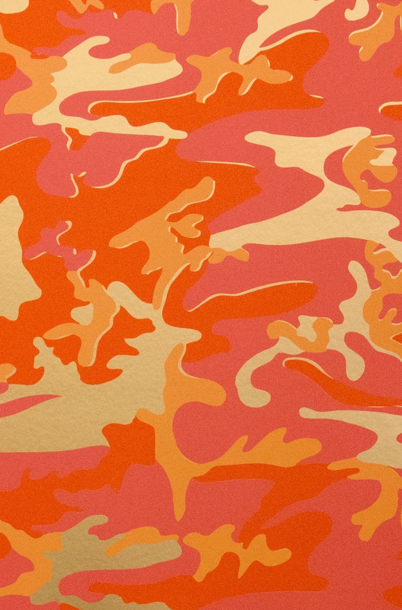 1280x1940 Camouflage. Apricot on Champagne Mylar