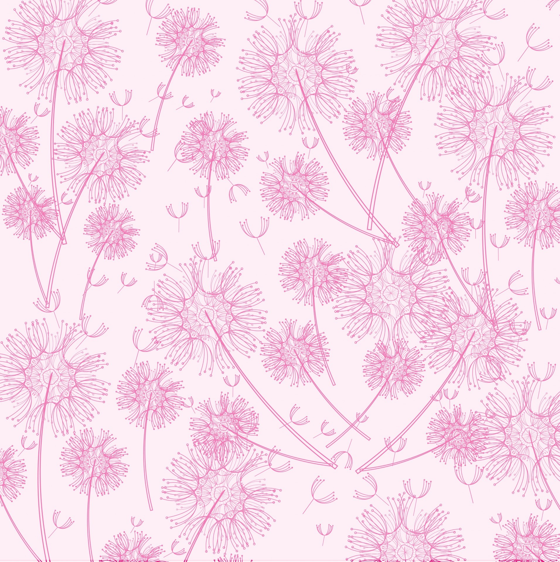 1911x1920 dandelion,dandelions,wallpaper,background,scrapbooking,flowers,flower,cute,