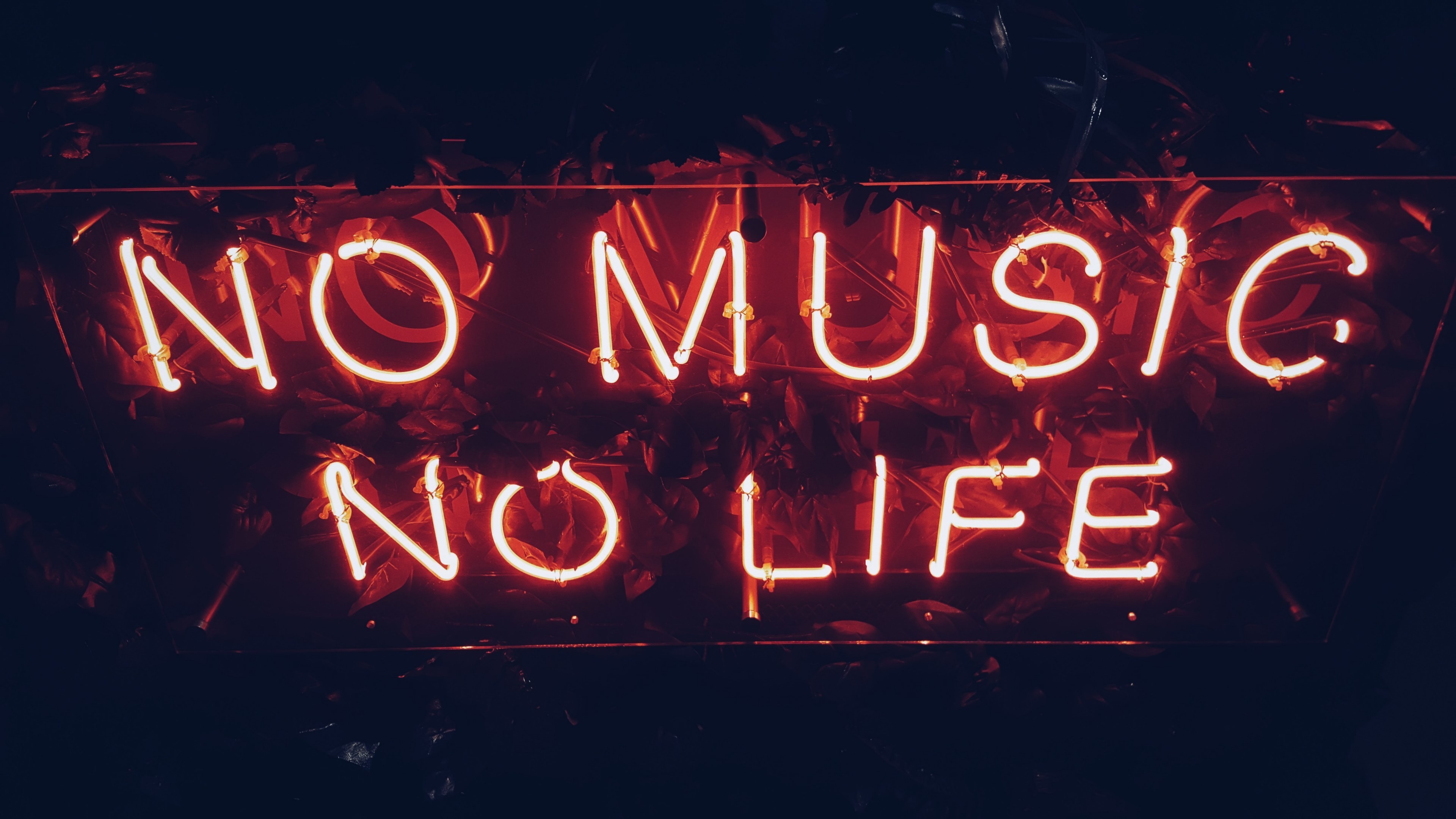 3840x2160  # a red neon reads no music no life against a dark  backgroundno music