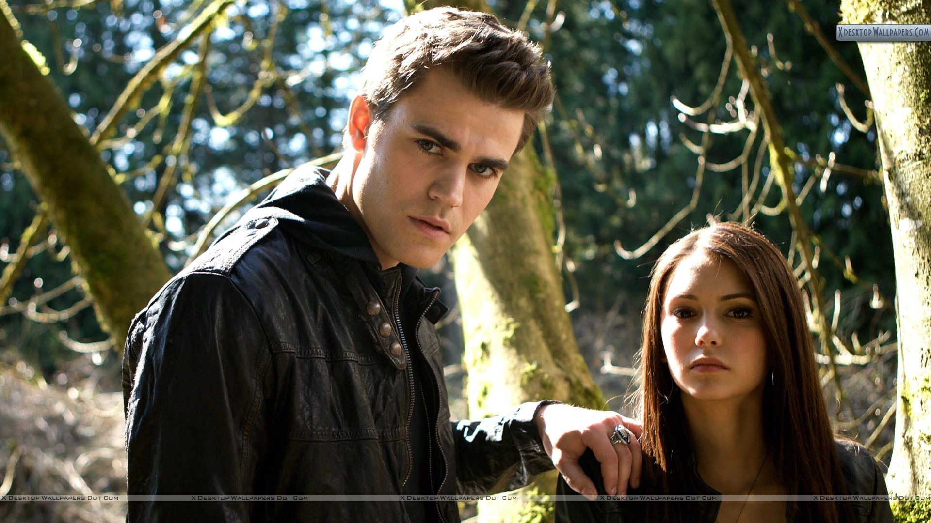 1920x1080 You are viewing wallpaper titled "Stefan In Jungle With Elena in Vampire  Diaries" ...