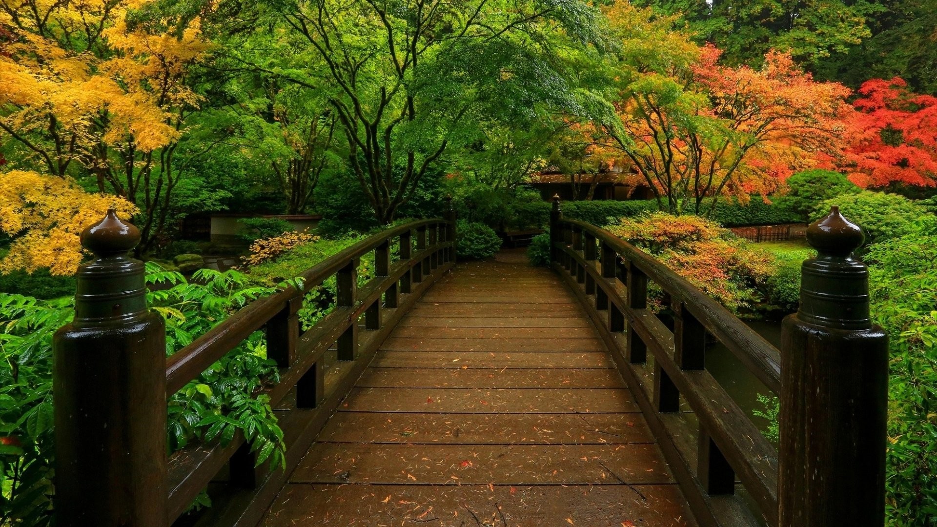 1920x1080 Man Made - Japanese Garden Bridge Fall Foliage Wallpaper