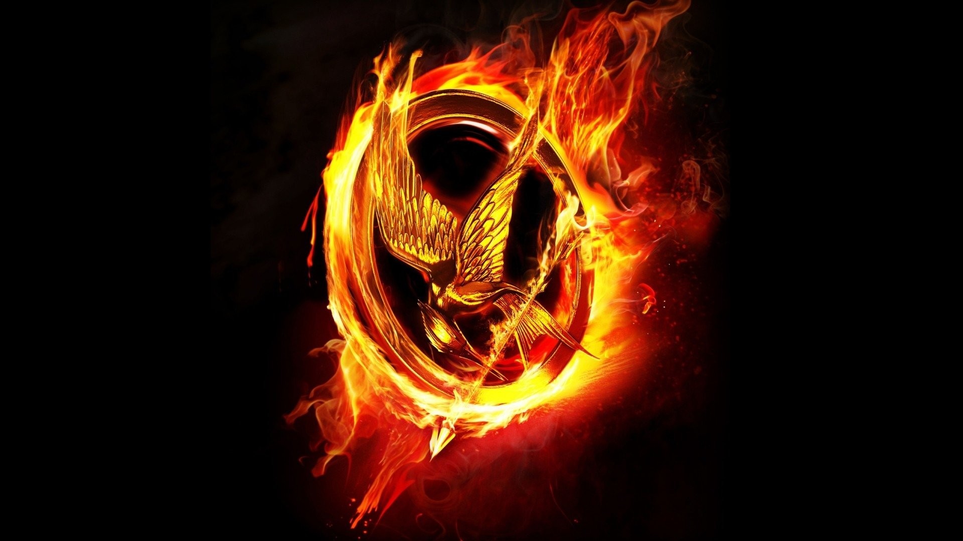 1920x1080 HD Wallpaper | Background ID:291493.  Movie The Hunger Games
