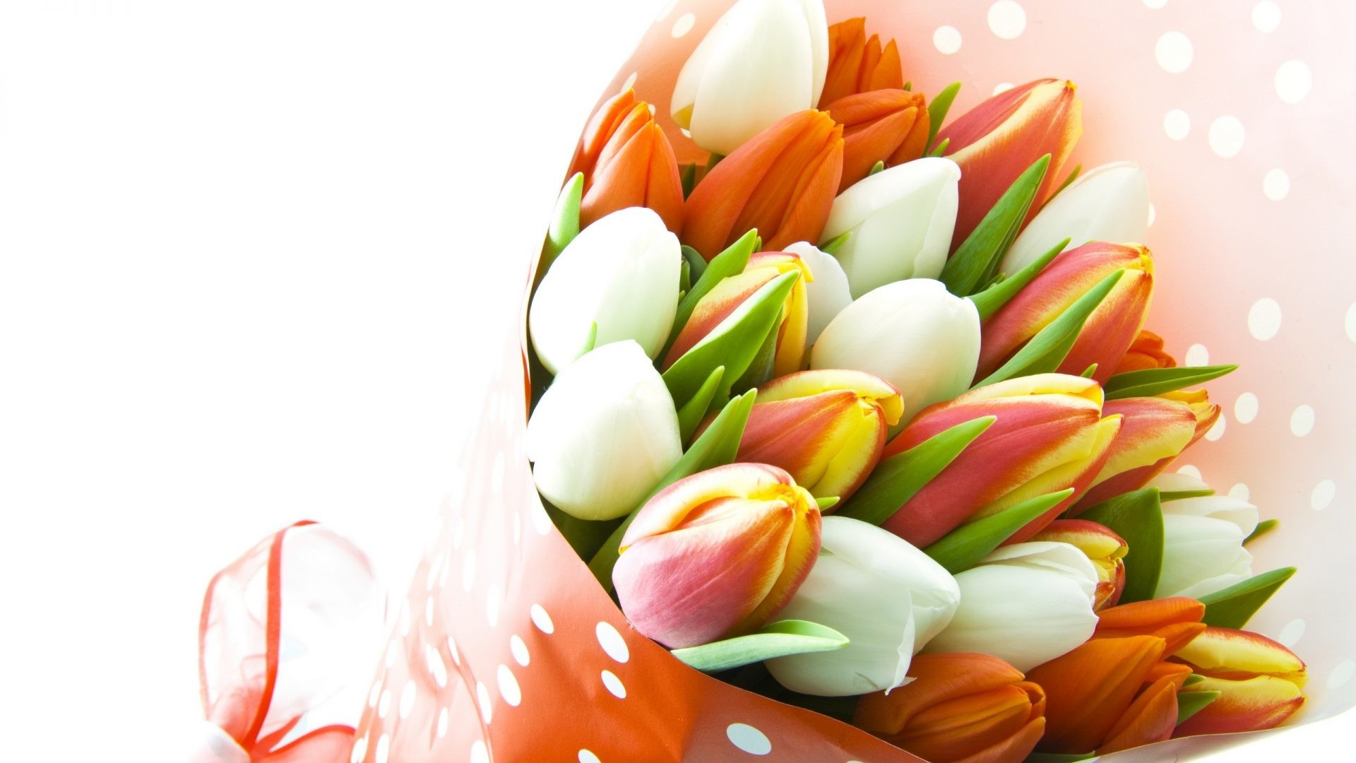 1920x1080 Flowers - Lovely Orange White Photography Still Bouquet Spring Colors Love  Tulips Colorful Beauty Beautiful Tulip