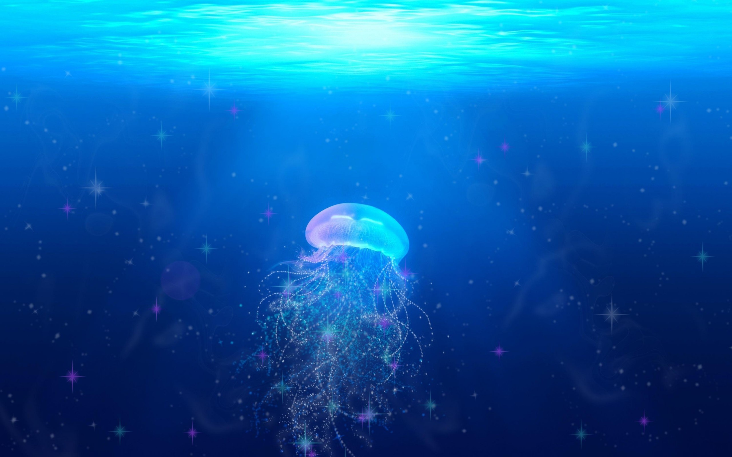 2560x1600 jellyfish, underwater world, swim