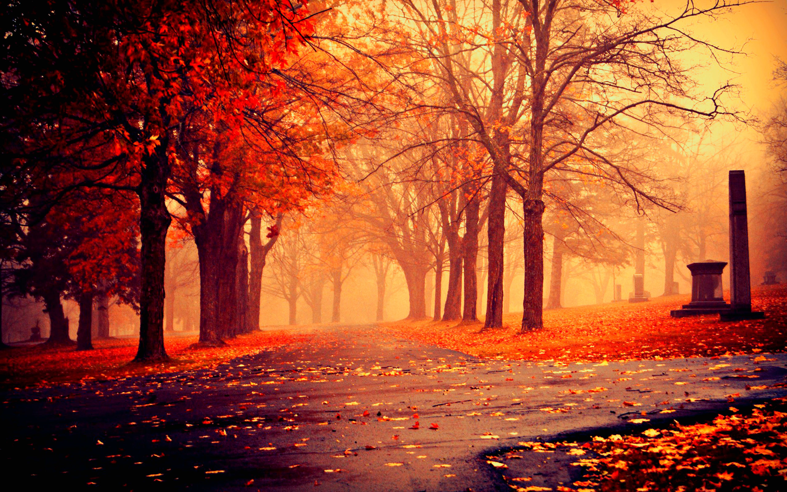 2560x1600 Fall HD Autumn. Â«