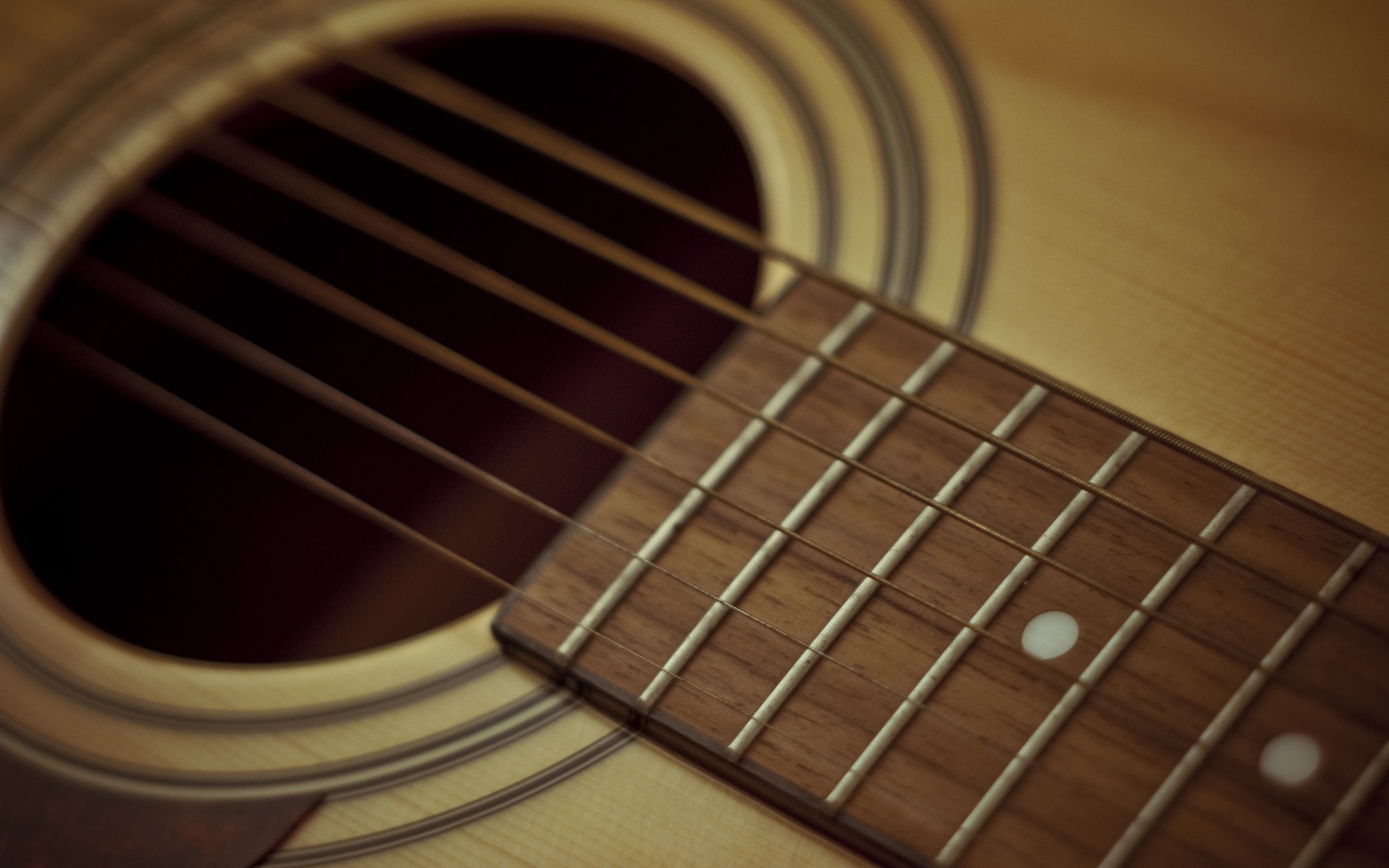 2560x1600  Wallpaper guitar, strings, metal, wood