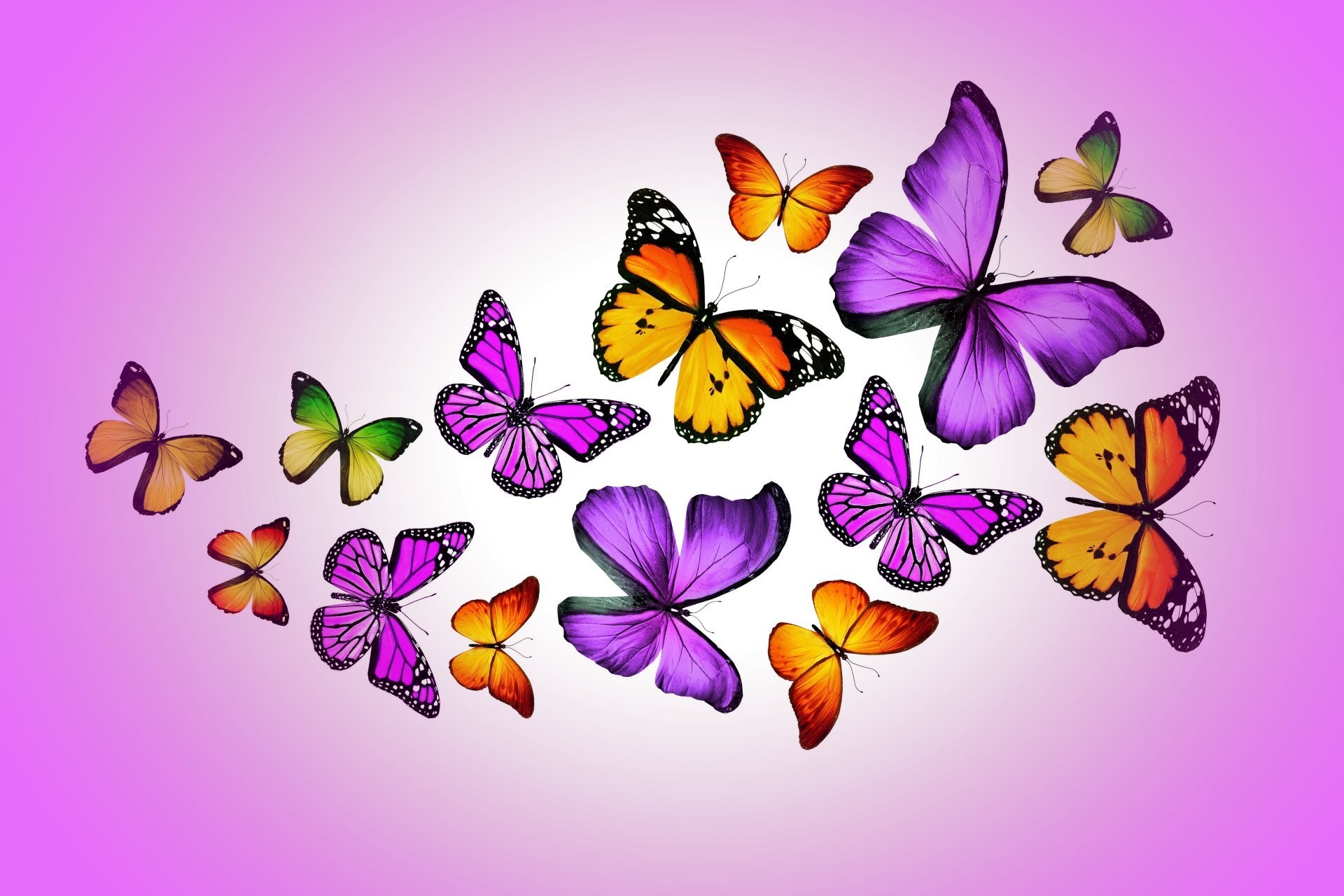 1920x1280 butterflies design by marika colorful purple butterfly