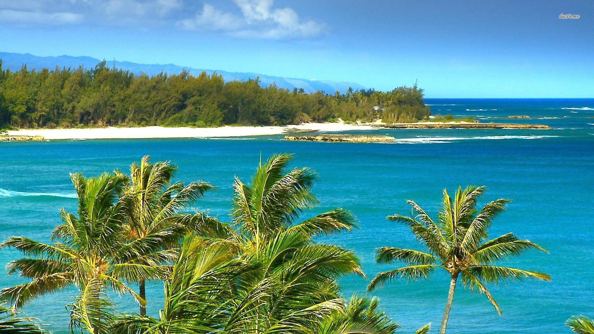 1920x1080 windy beach in hawaii. Â«