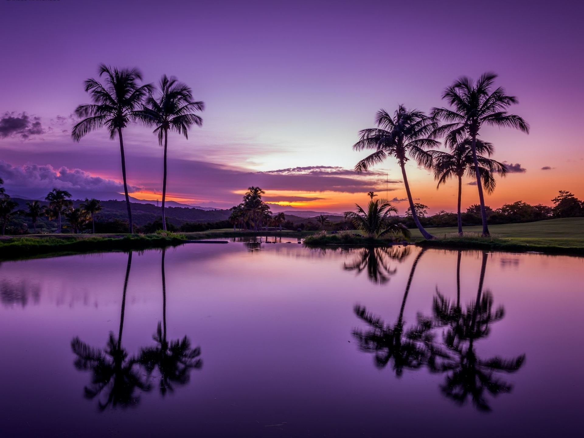 1920x1440 fajardo puerto rico tropics palm sunset water reflection