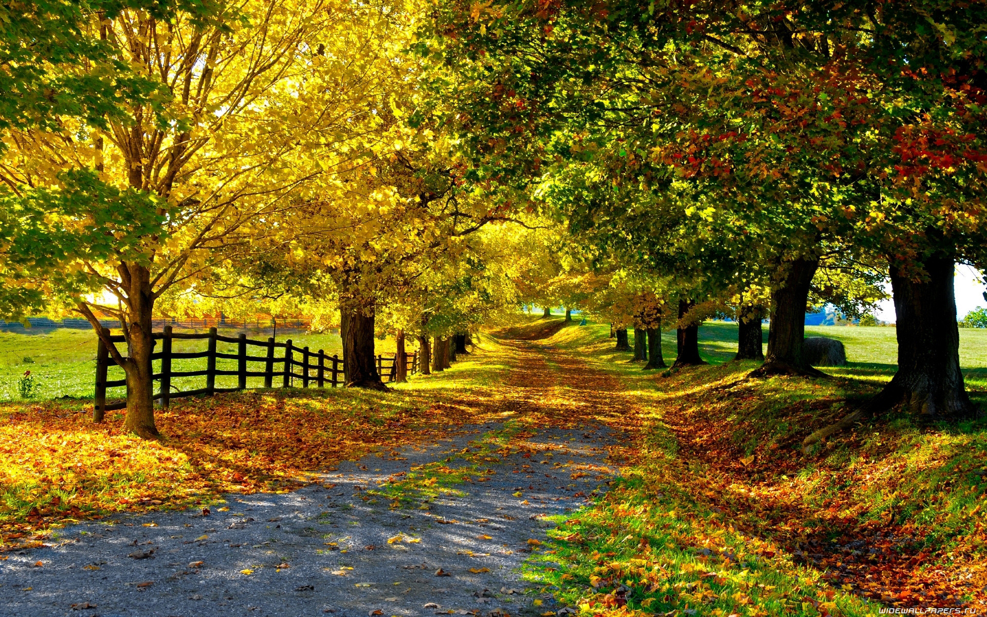 1920x1200 ... Country Road Autumn Desktop Wallpapers Wallpapers - New HD Wallpapers  ...