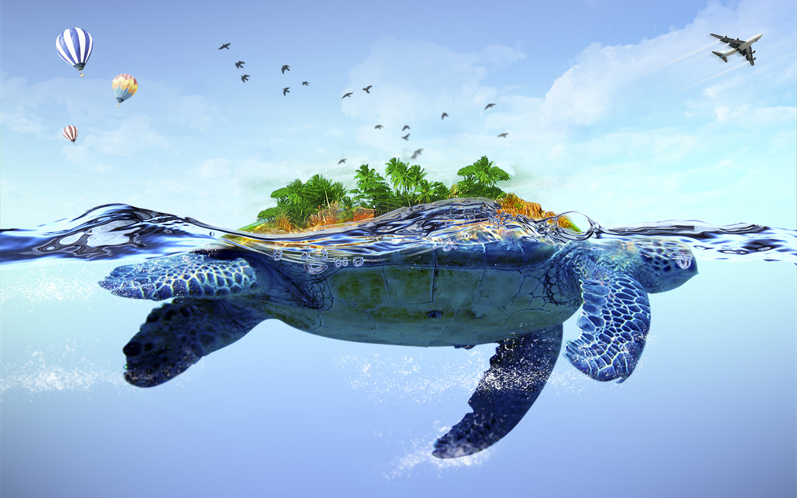 2560x1600 Turtle Wallpapers for Desktop - WallpaperSafari 3D Turtle - Cute 3D cartoon Turtle  Wallpaper 5 - Wallcoo.net .
