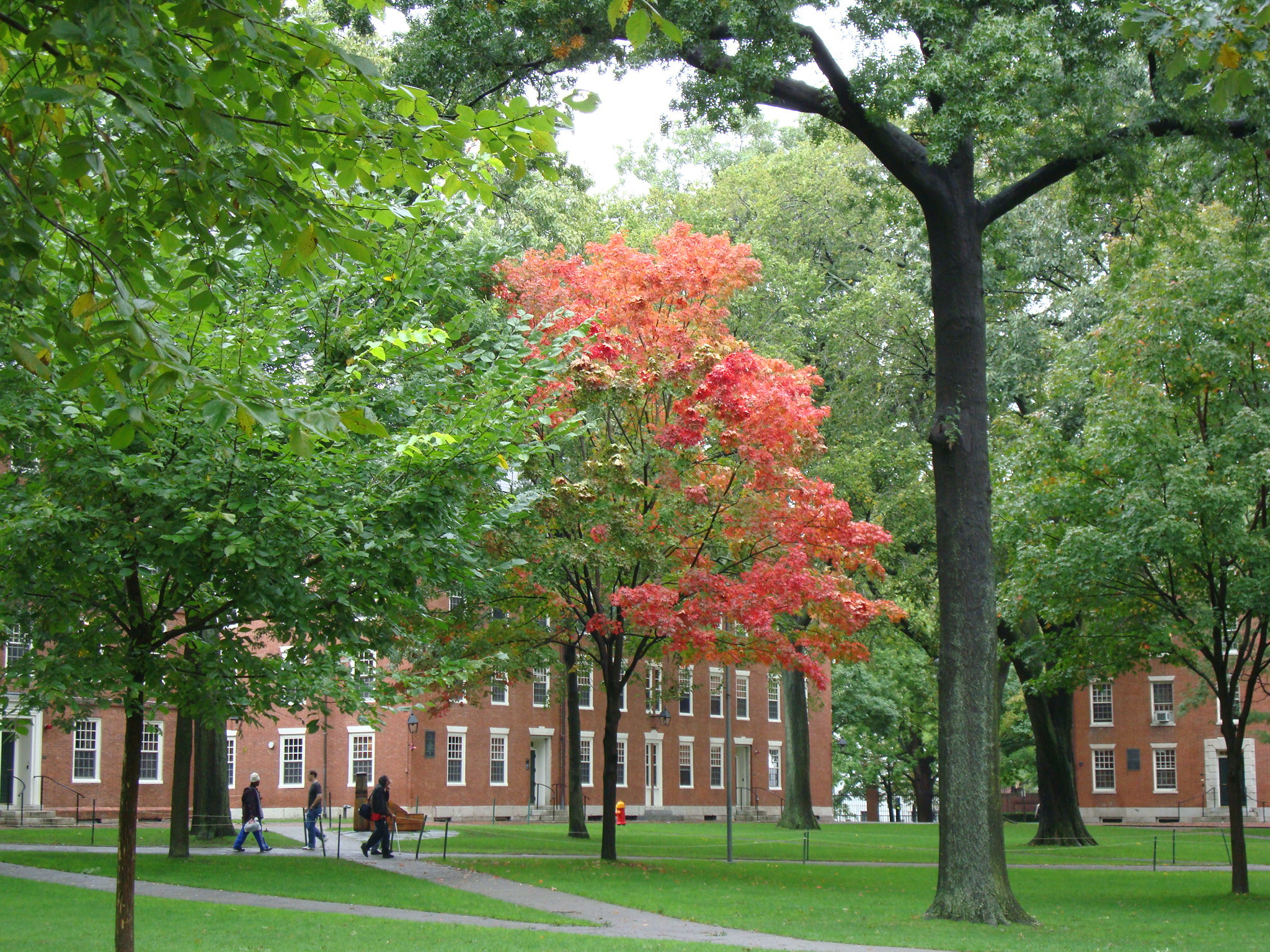 2048x1536 Harvard University Campus, Boston