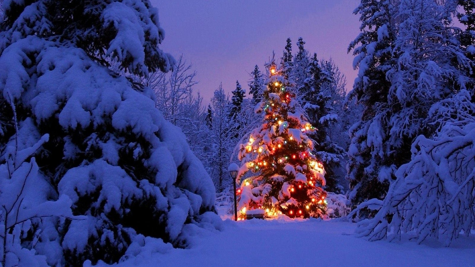1920x1080 christmas trees, garland, snow