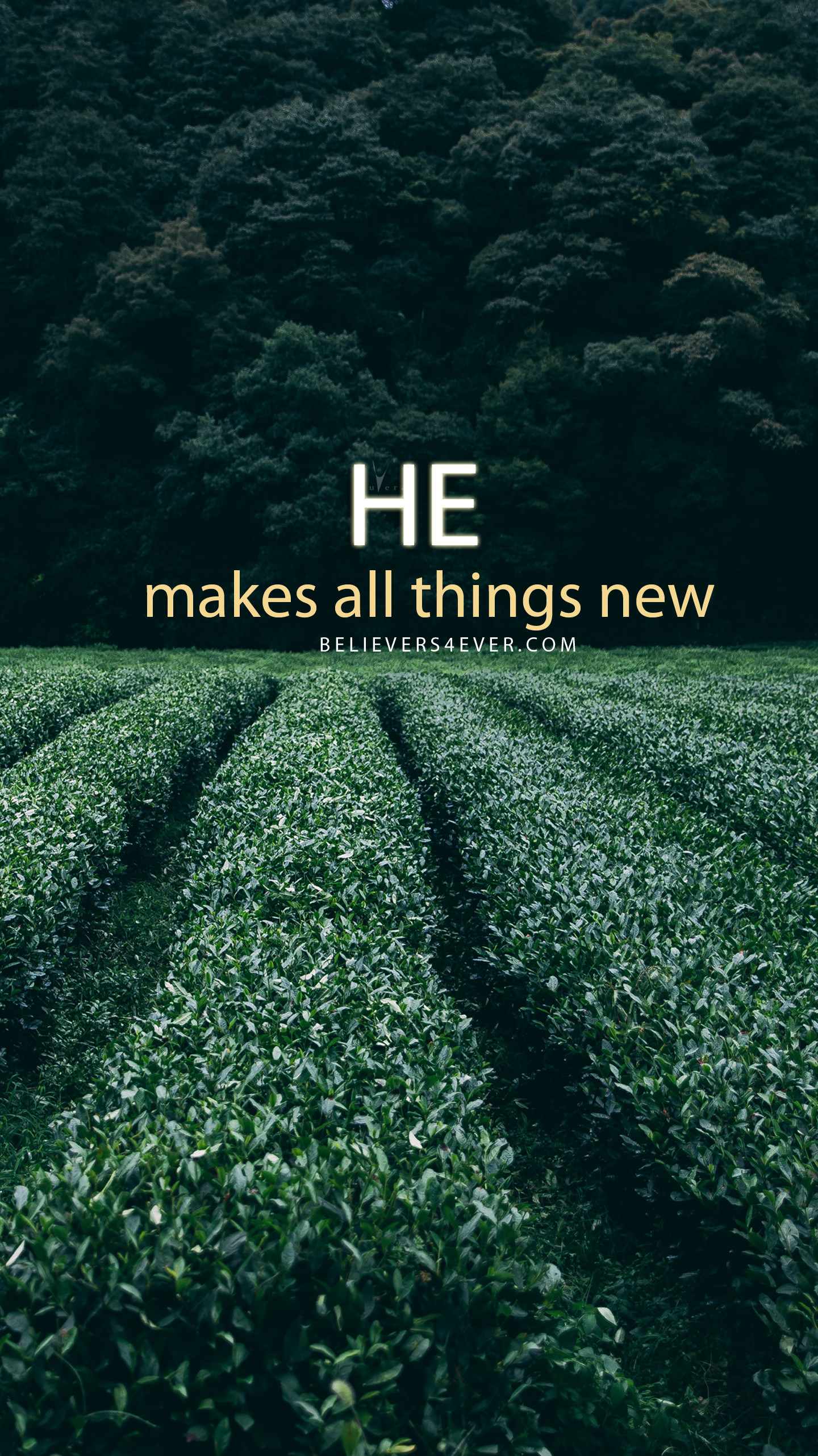 1440x2561 He makes all things new