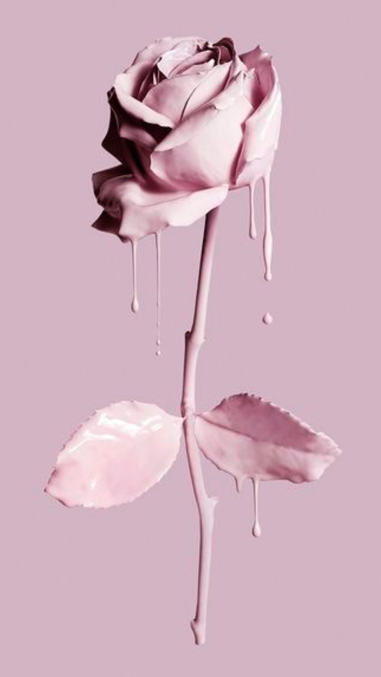 1242x2208 Painting the rose pink