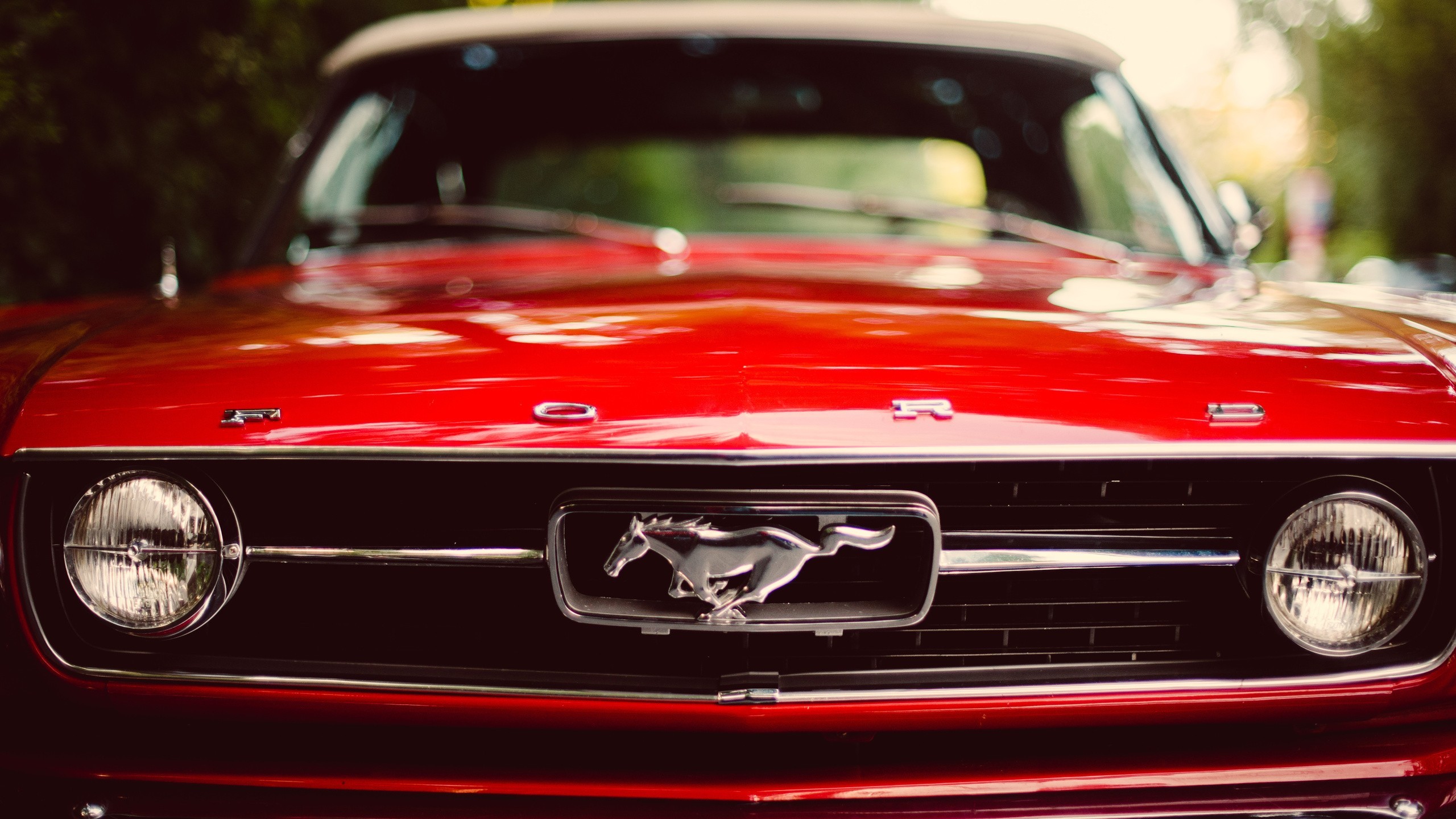2560x1440 Muscle Cars Ford Mustang Red Car Wallpaper Hd