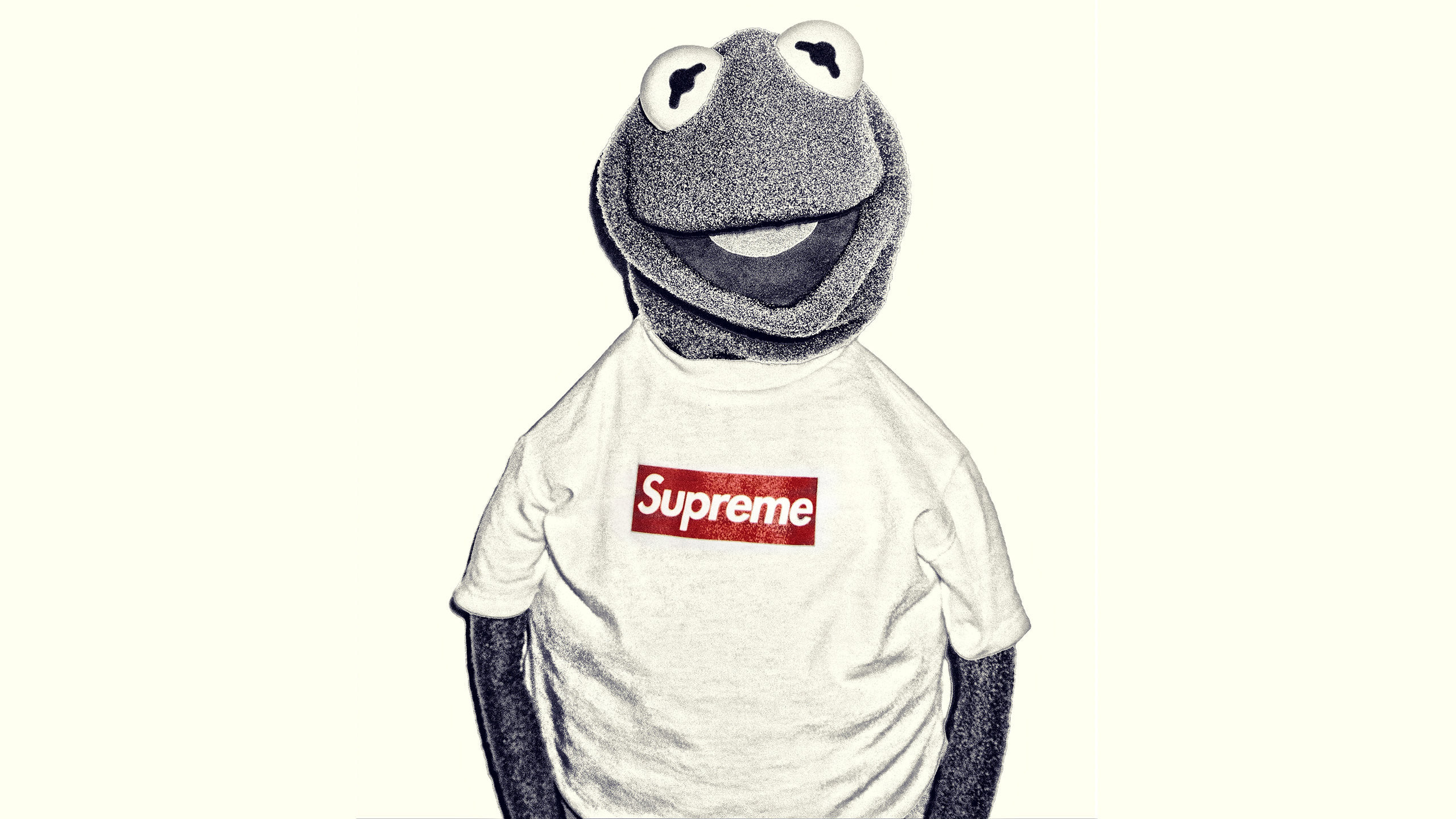 2560x1440 Download the Kermit Supreme wallpaper below for your mobile device (Android  phones, iPhone etc.)