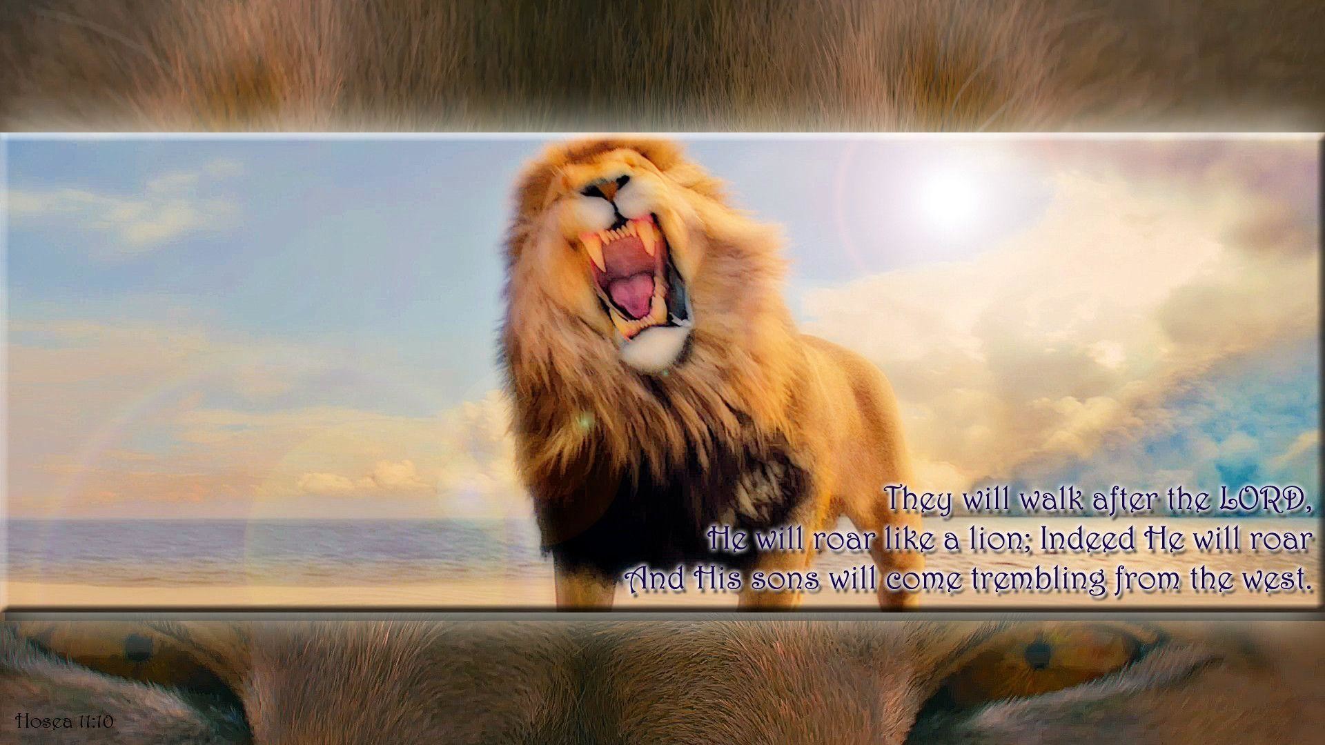 Aslan Roaring Wallpapers - Wallpaper Cave