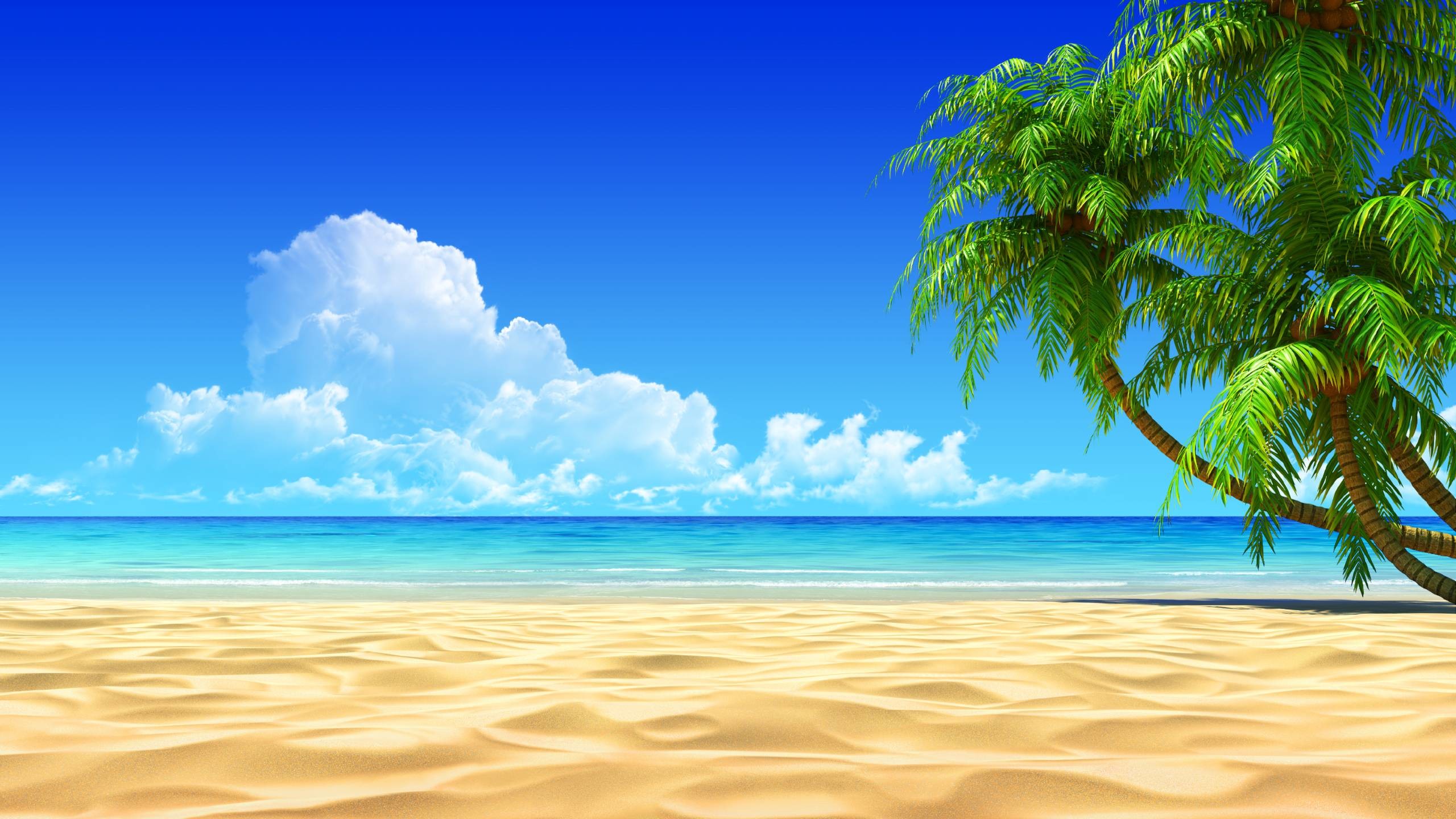 2560x1440 Tropical Beach Wallpapers Background
