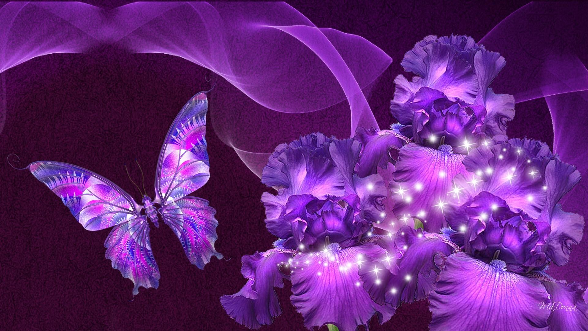 1920x1080 Animal Wallpaper: Purple Butterfly Wallpaper Desktop with High Resolution