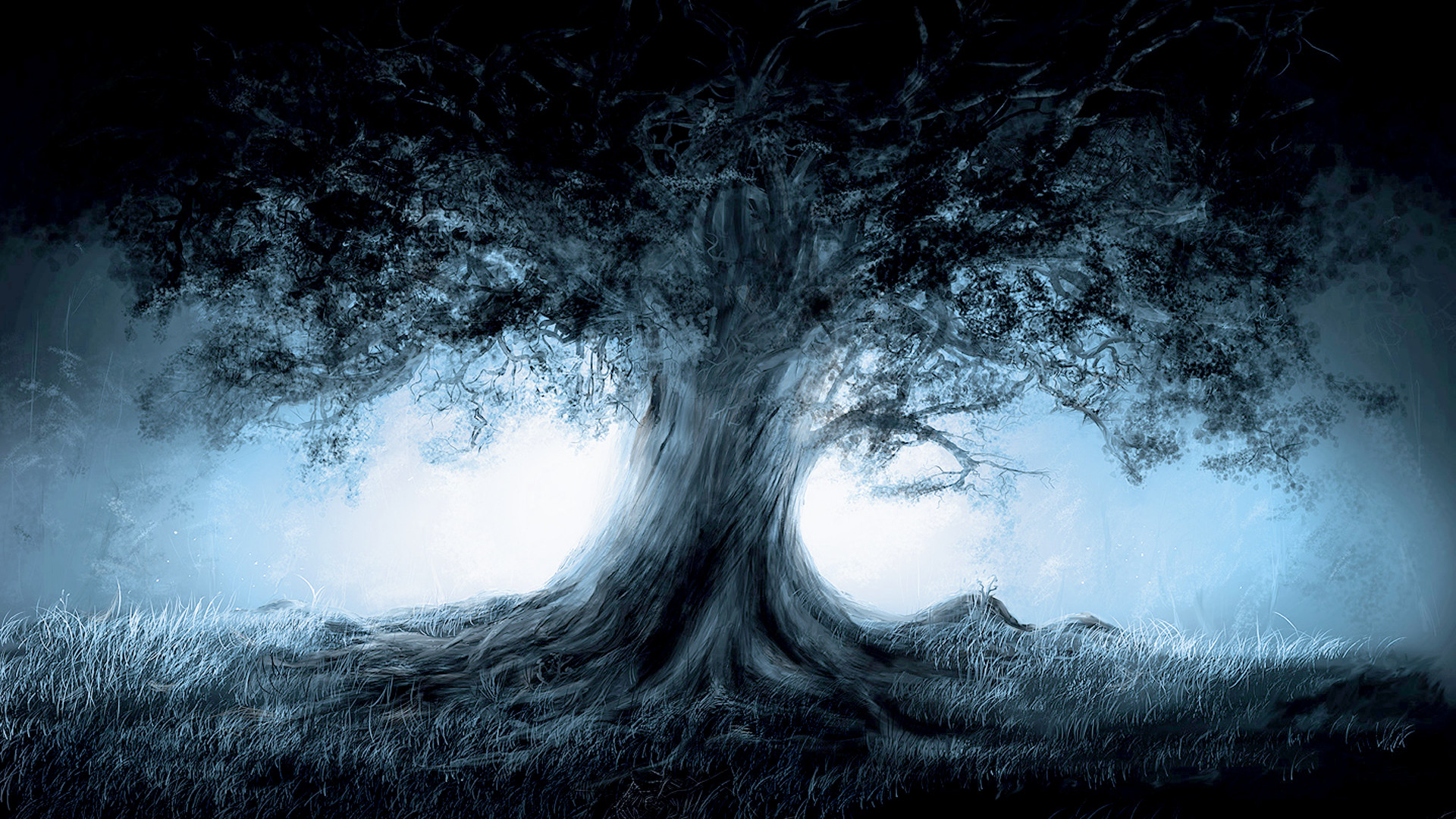 1920x1080 Hd Wallpapers, Tree, Mist, Fantastic Wallpapers HD / Desktop and Mobile  Backgrounds