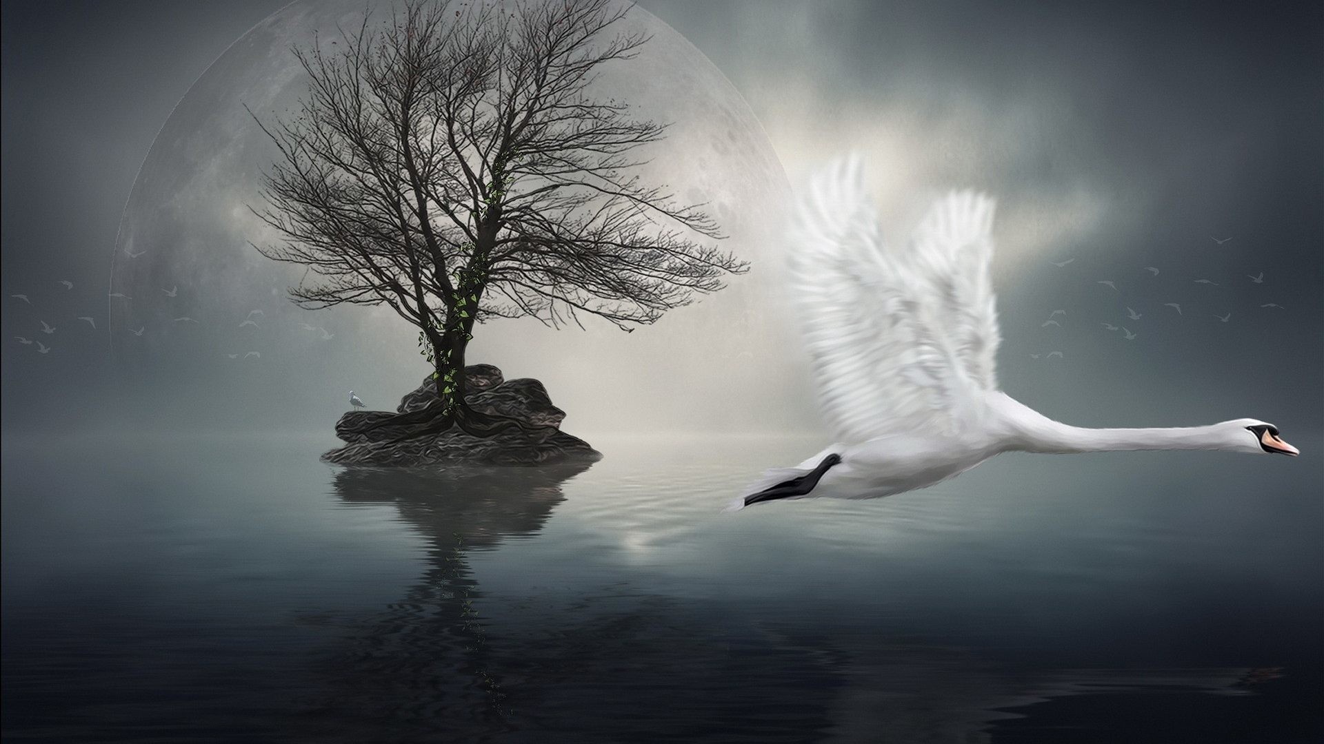 1920x1080 #BBBBBB Color - Manipulations Nature Animals Birds Art Dreamy Water Digital Surreal  Hd Images Download