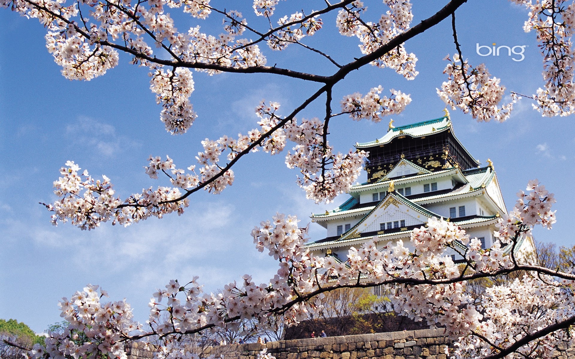 1920x1200 Spring, Cherry, Blossom, Palace, Japan, Architecture wallpaper and  background