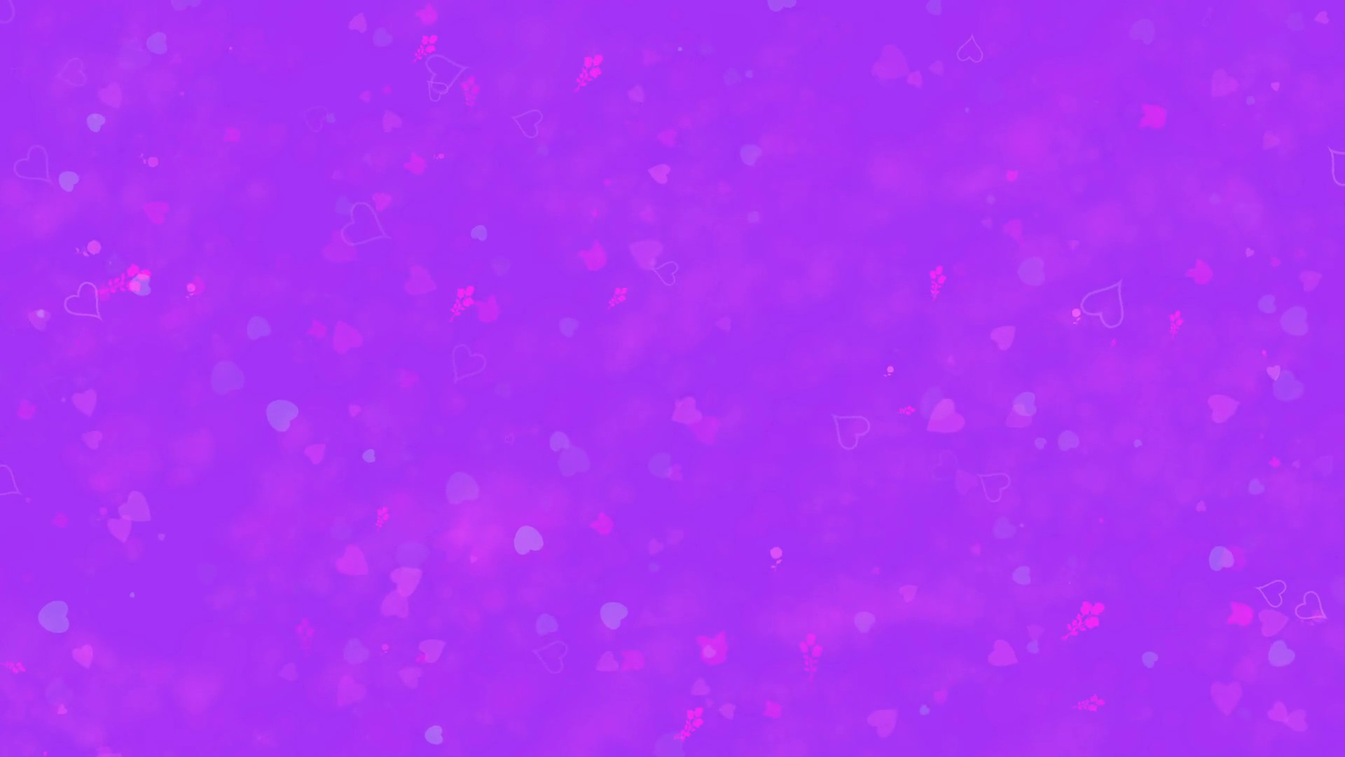 1920x1080 Love themed purple animated background with moving hearts and roses for  Valentine's Day