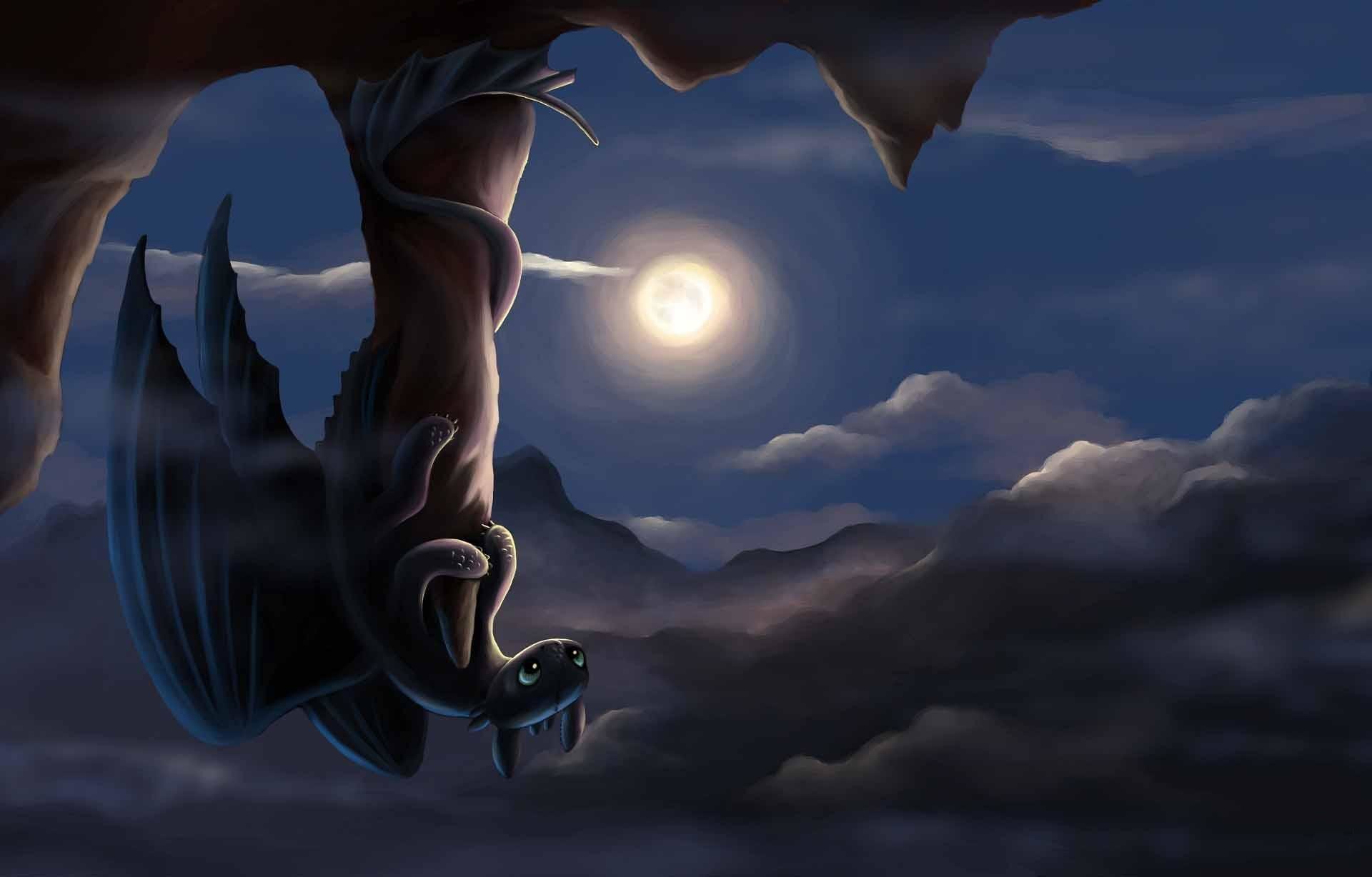 1920x1228 How To Train A Dragon Wallpapers
