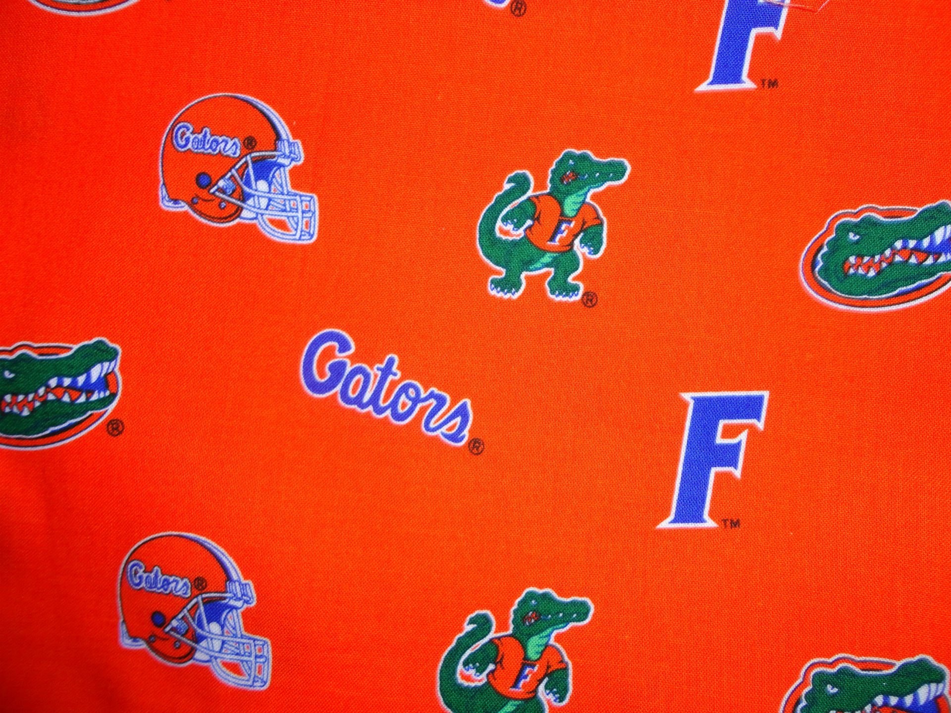 1920x1440  FLORIDA GATORS college football wallpaper |  | 595513 |  WallpaperUP