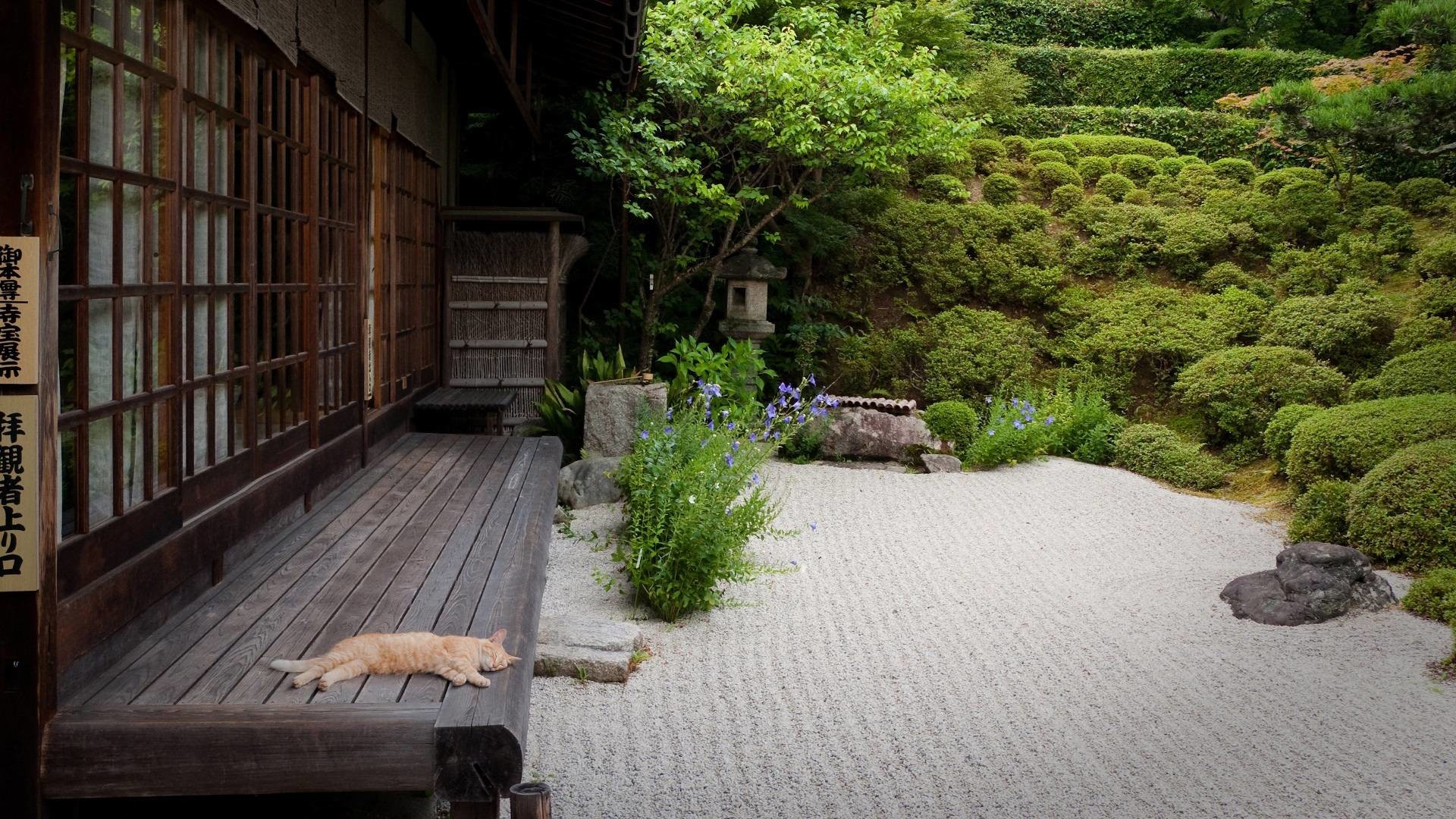 Zen Garden Images – Browse 261,626 Stock Photos, Vectors, and Video | Adobe  Stock