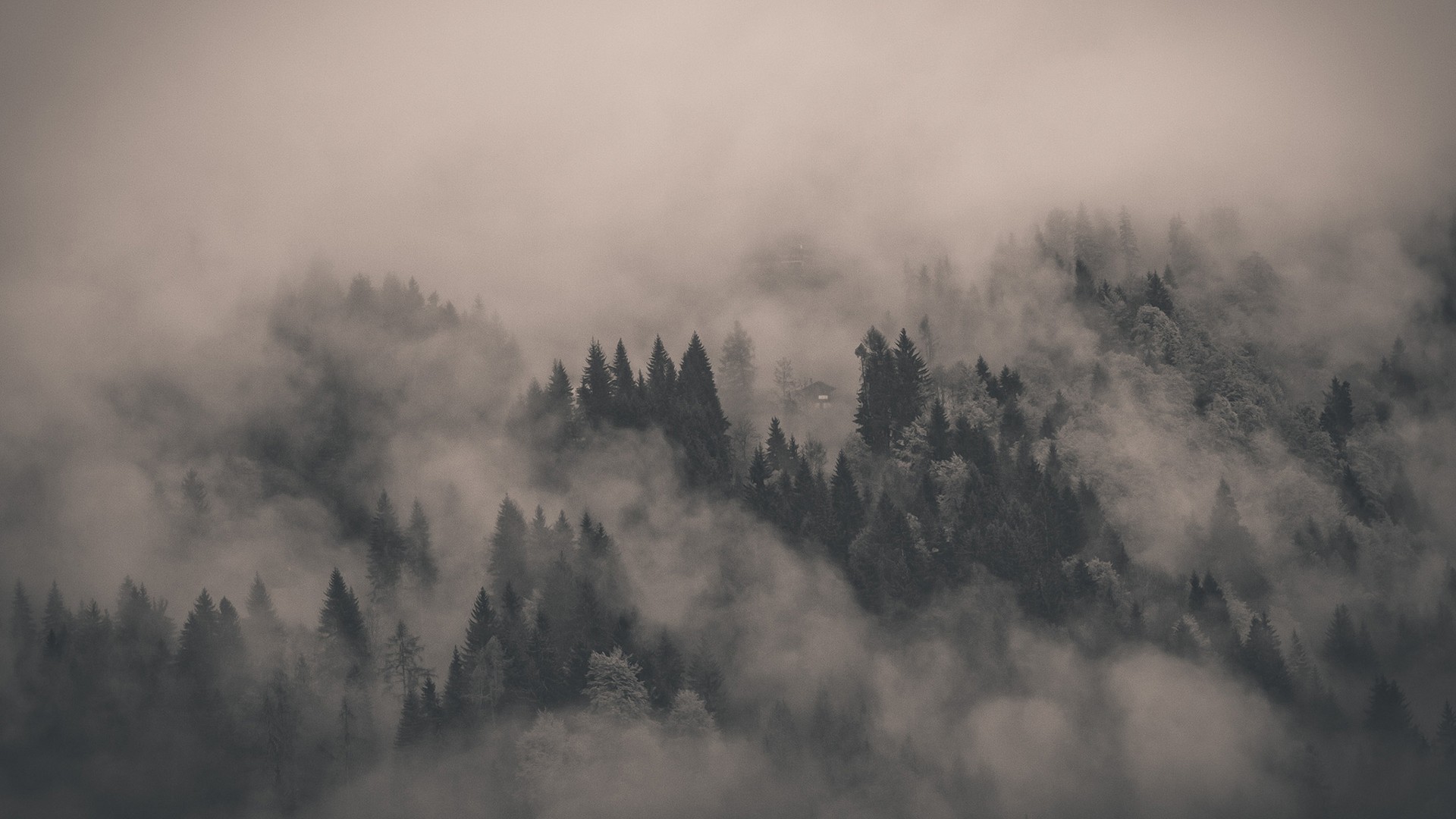 1920x1080  Misty Mountain Landscape