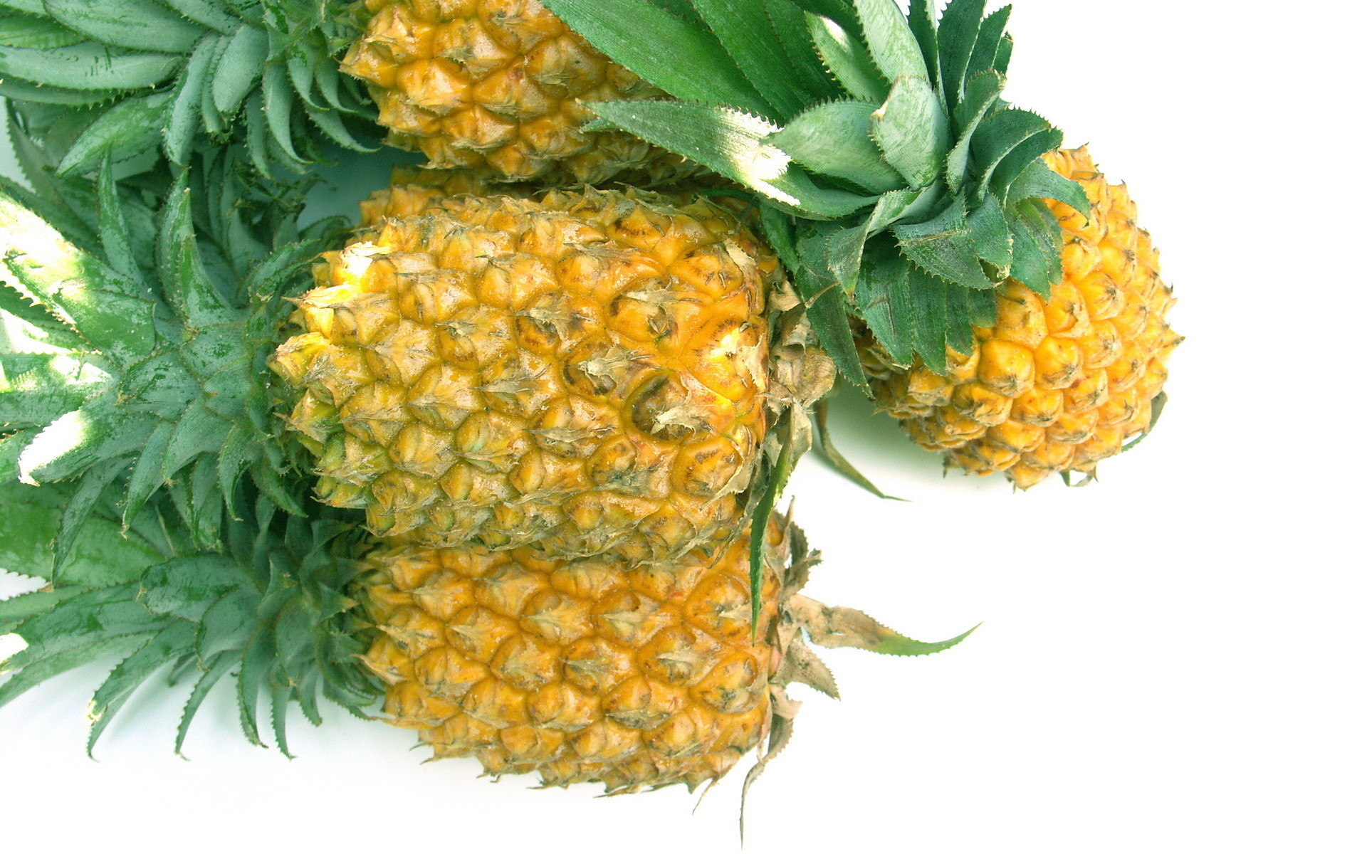 1920x1200 Food - Pineapple Wallpaper
