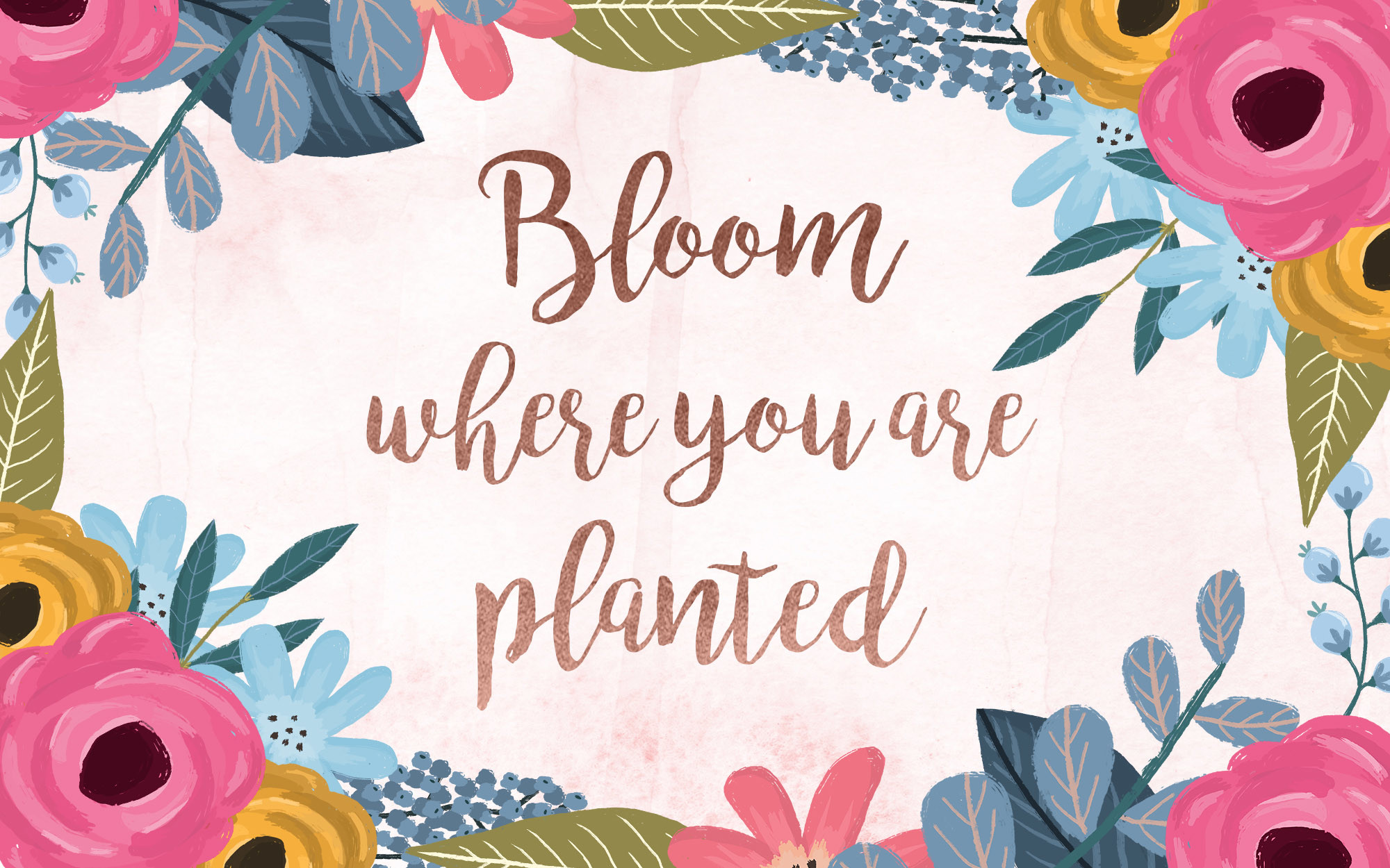 2000x1250 Bloom Where You Are Planted desktop wallpaper