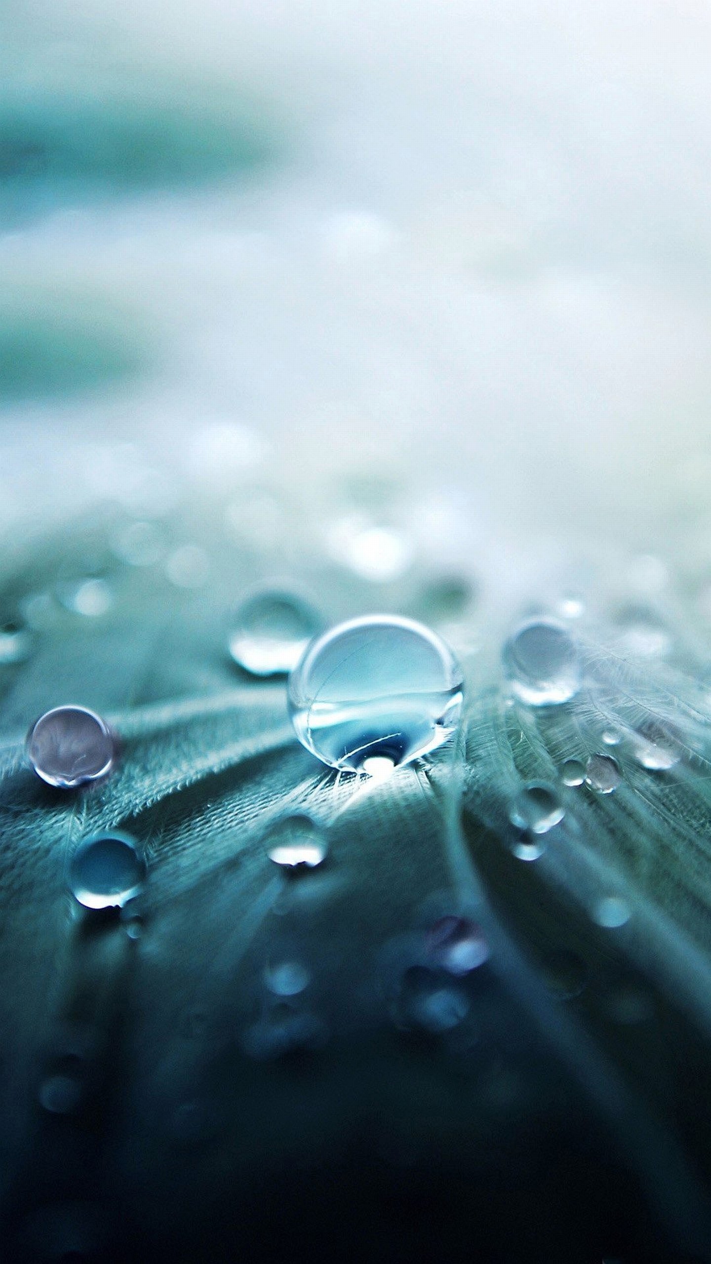 1440x2560 Wallpaper samsung galaxy s6 water drop awesome