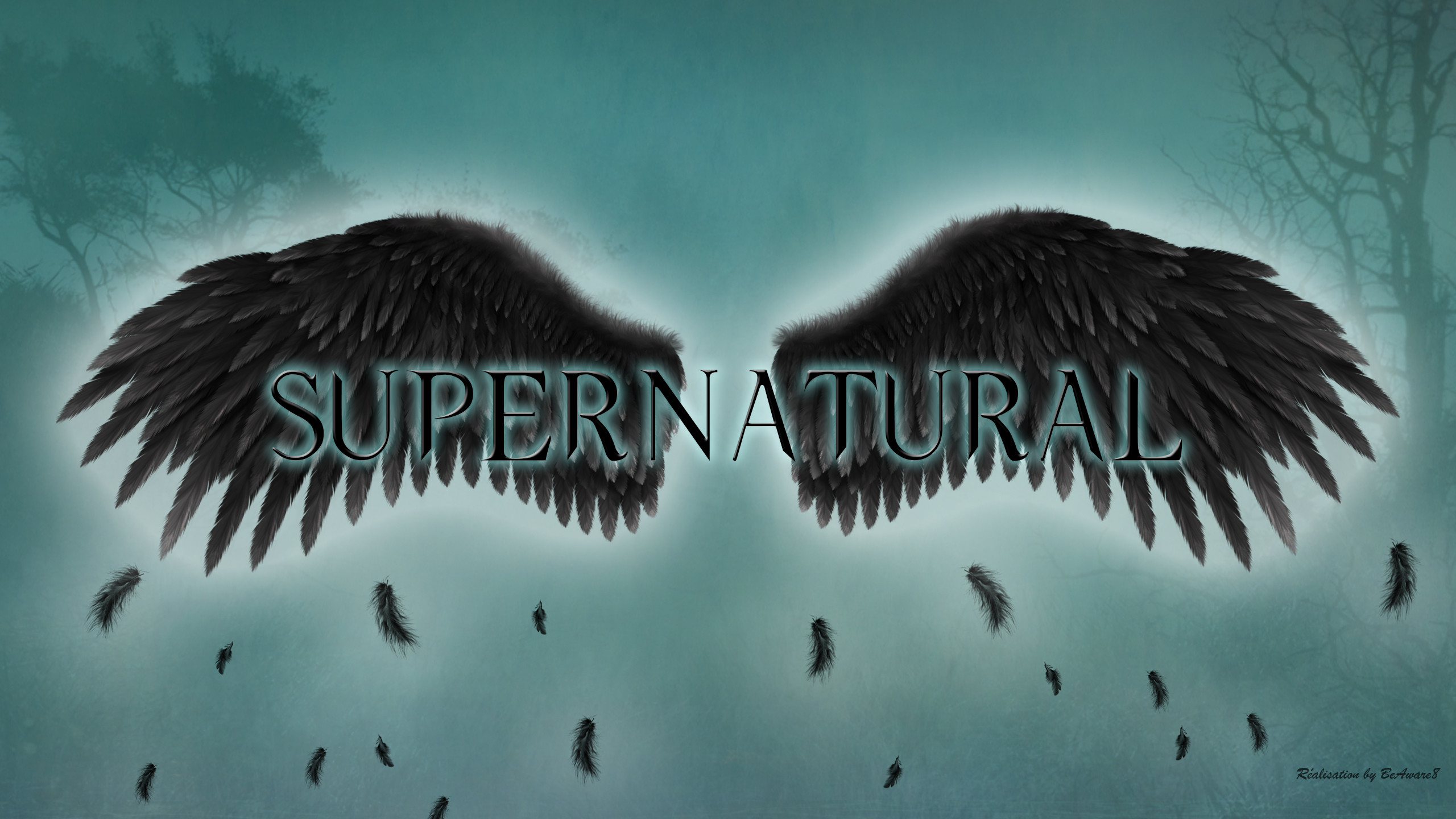 2560x1440 ... Supernatural - the fallen angel wings by BeAware8