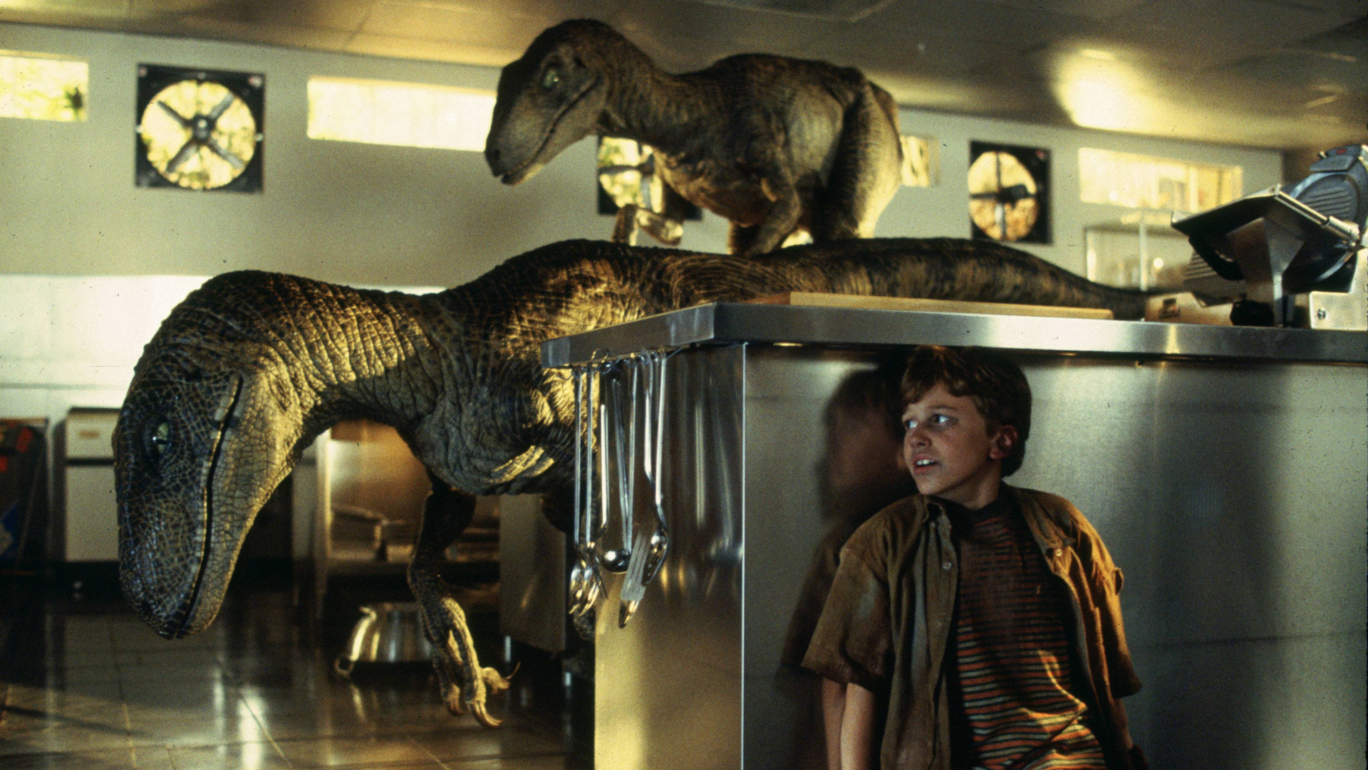 1920x1082 Movie - Jurassic Park Velociraptor Tim Murphy Kitchen Wallpaper
