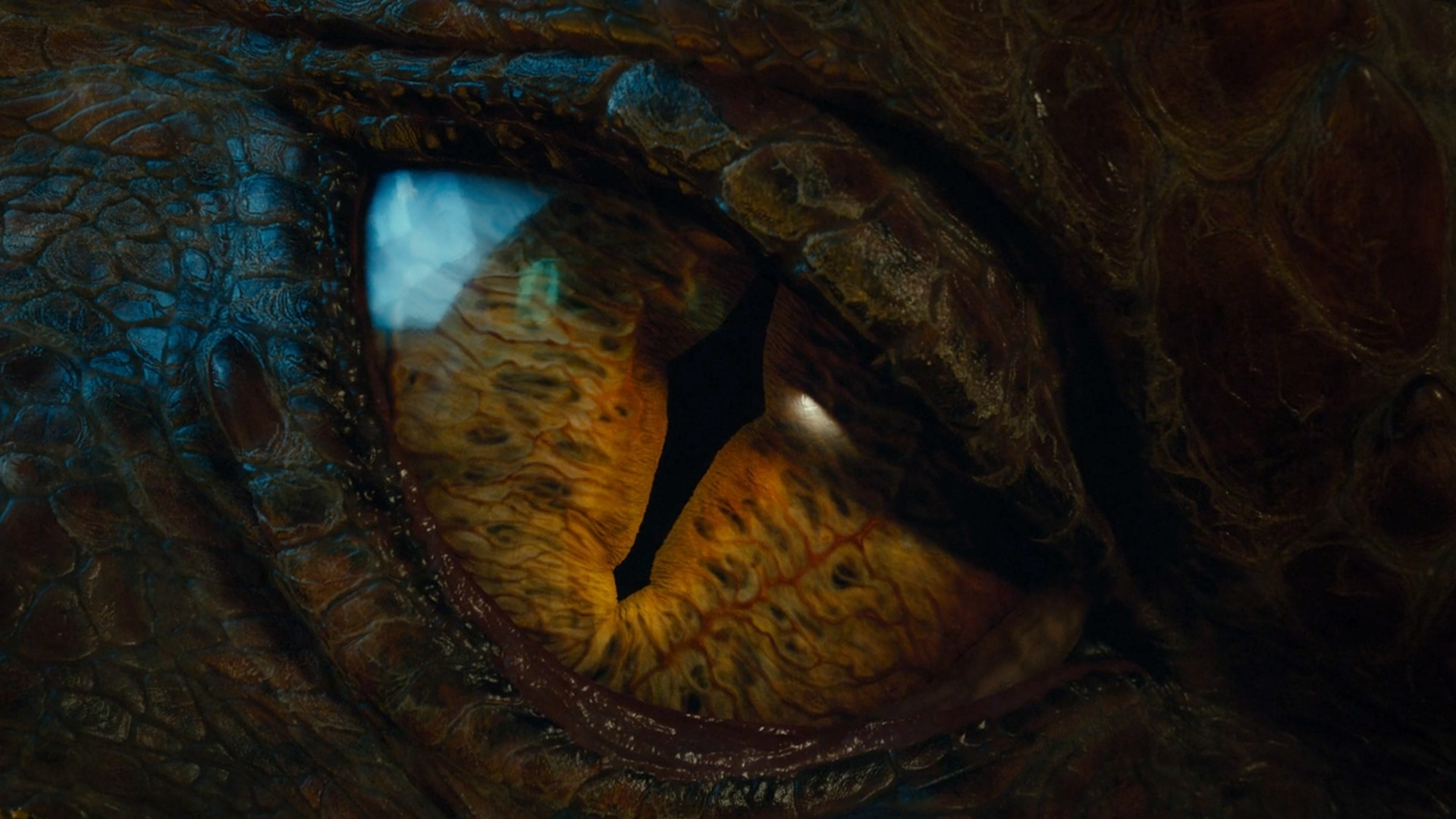 1920x1080 Eye of the dragon - The Hobbit - The Desolation of Smaug #1571697