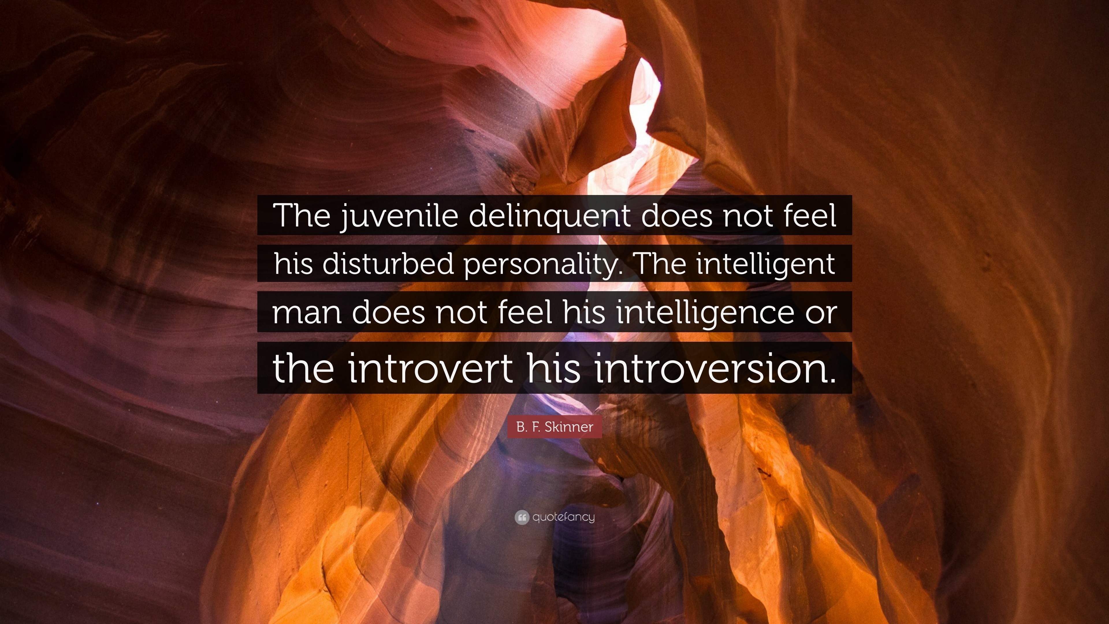 3840x2160 B. F. Skinner Quote: “The juvenile delinquent does not feel his disturbed  personality. The