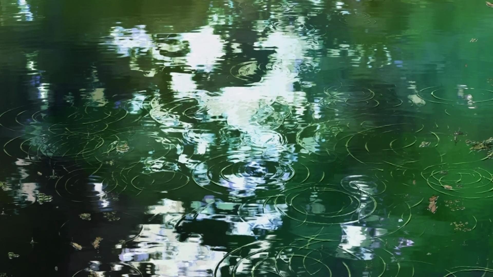 1920x1080 Water Makoto Shinkai ripples anime The Garden of Words wallpaper |   | 319634 | WallpaperUP