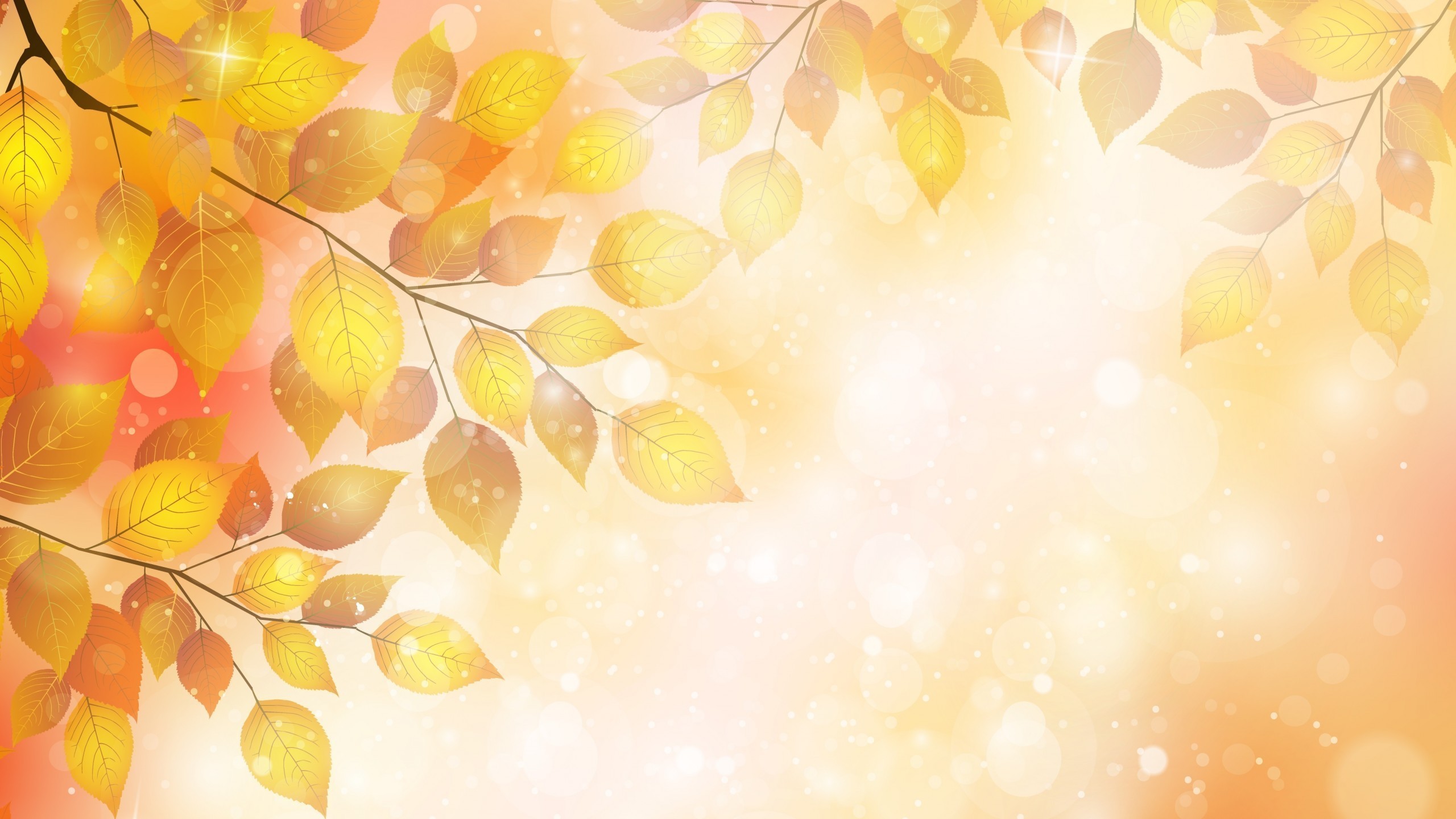 2560x1440  Autumn background on your desktop