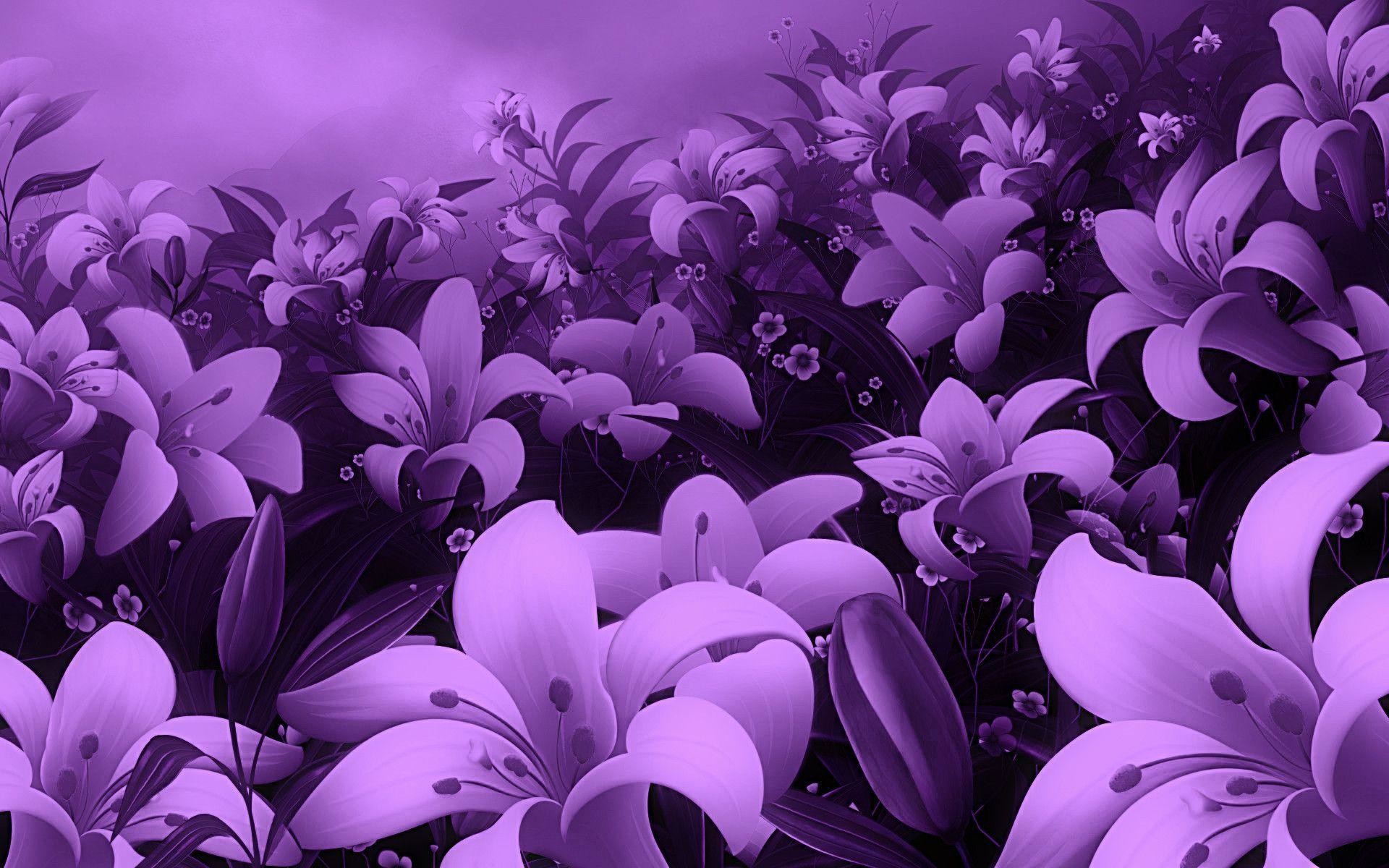 1920x1200 Wallpapers For > Cute Purple Flower Background