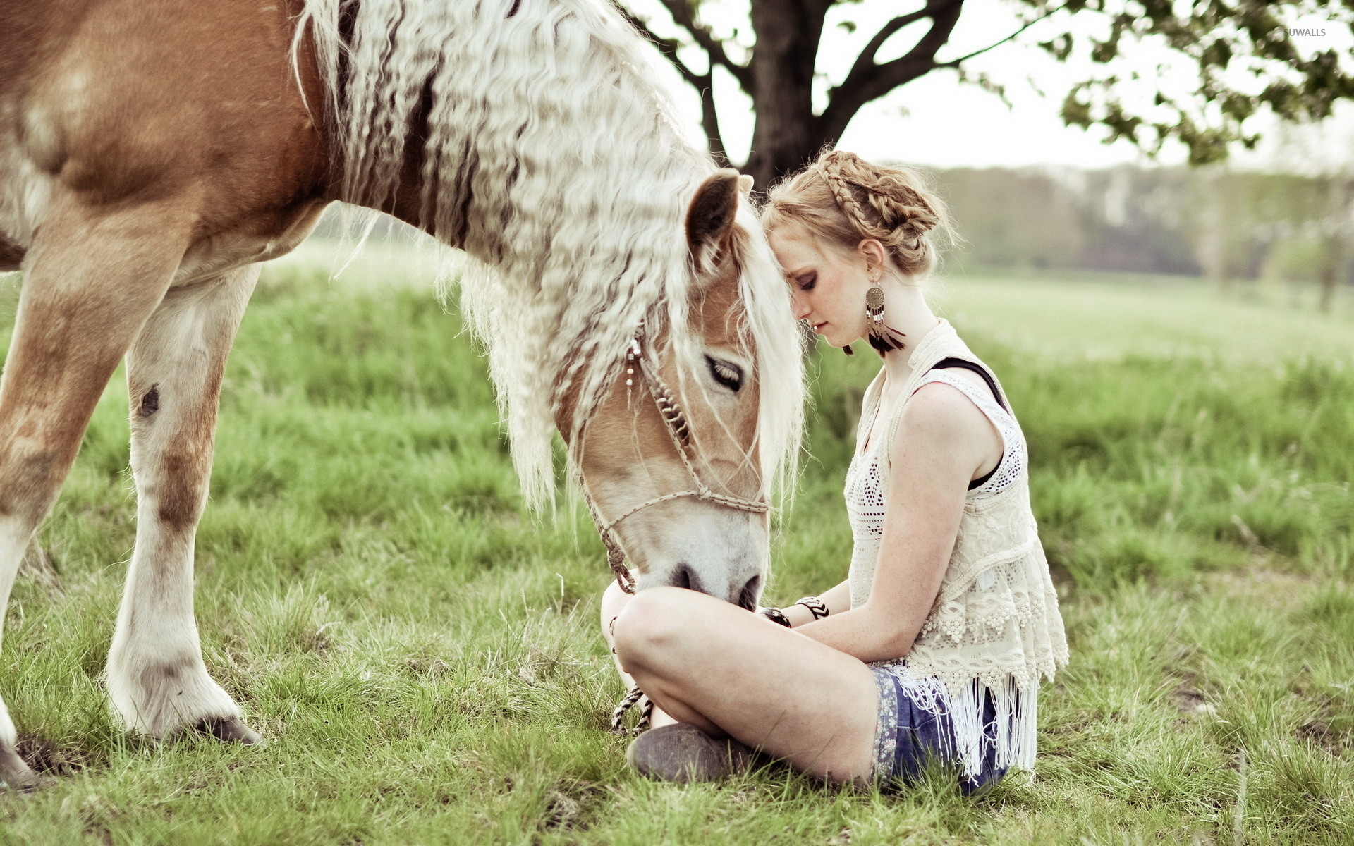 1920x1200 Blonde girl with a beautiful horse wallpaper