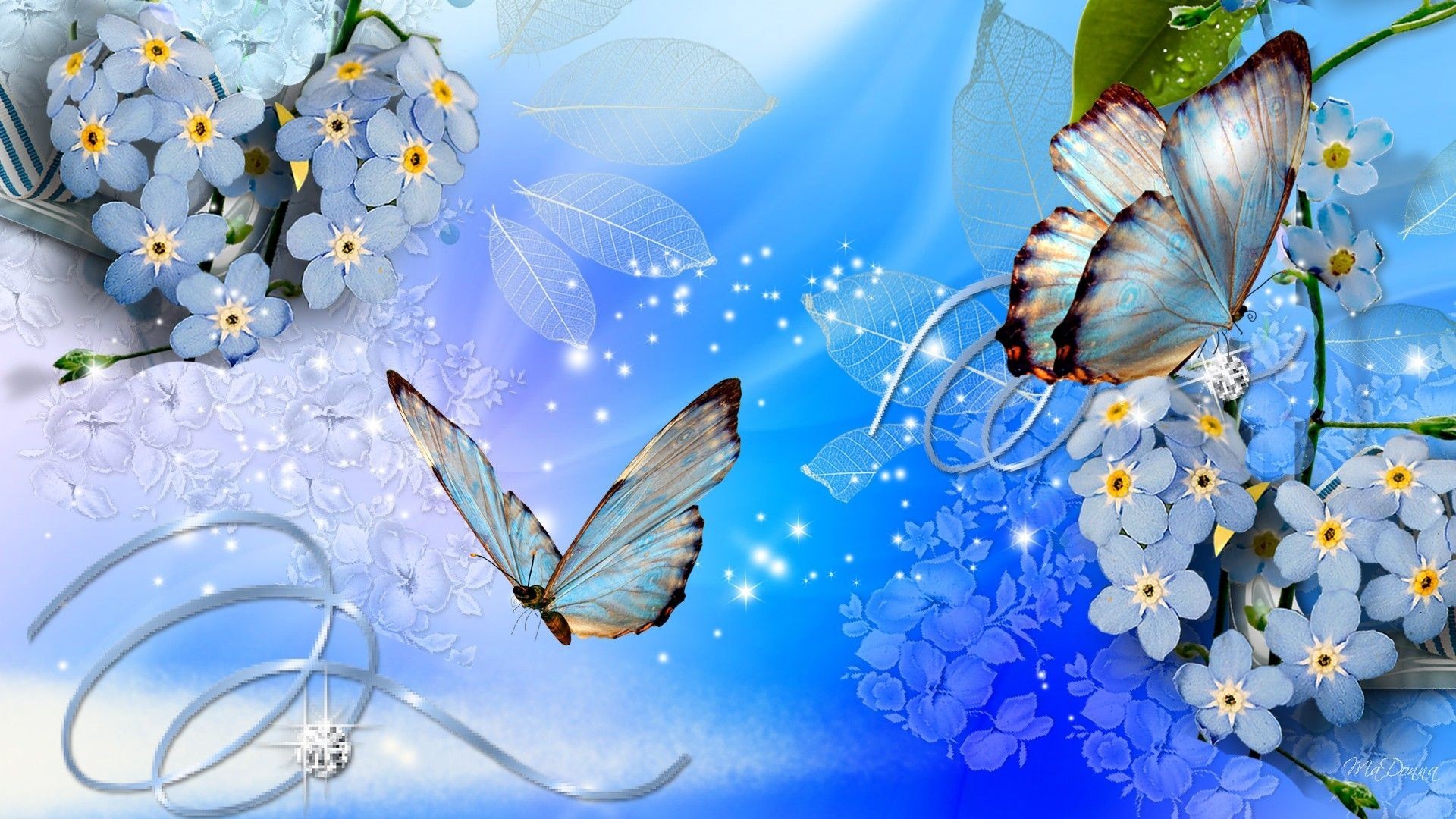 1920x1080 Flower butterfly Pretty Lovely Nice Wallpaper Hd Fresh Pretty Blue  Backgrounds Of Flower butterfly Pretty Lovely
