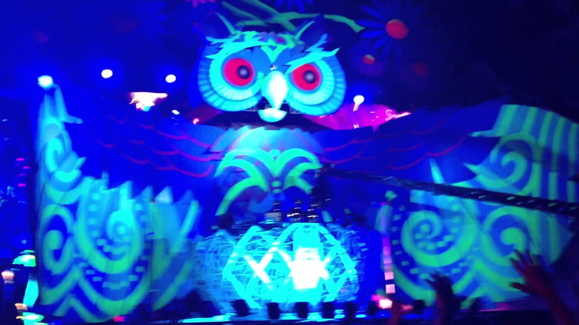 1920x1080 Night Owl Experience - Show Me Love at EDC Las Vegas 2013 (HD) - YouTube