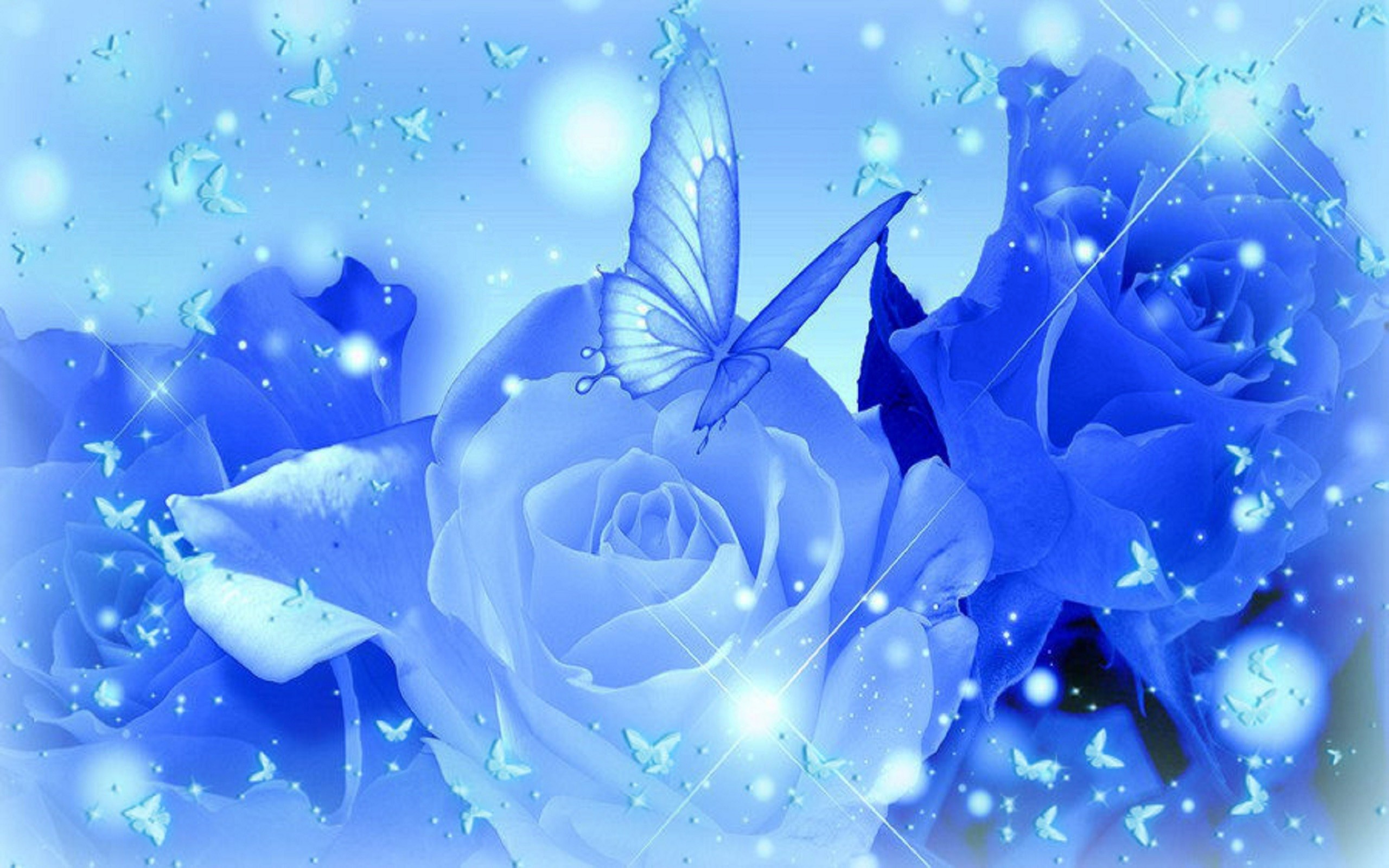 2560x1600 light blue roses wallpaper Widescreen Wallpaper