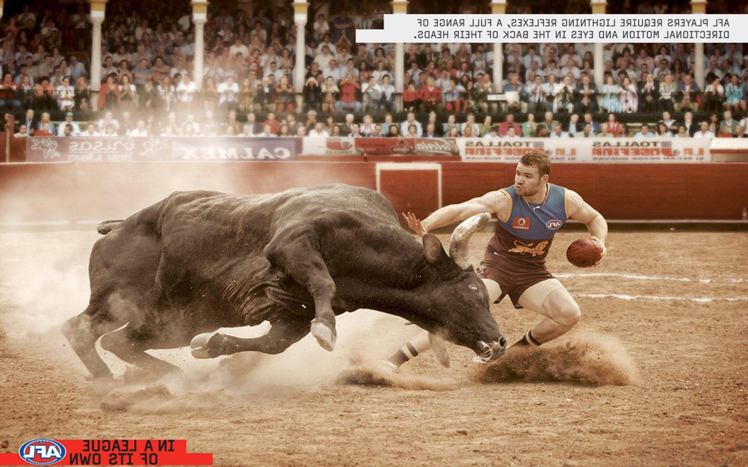 2560x1600 Bull Fighting