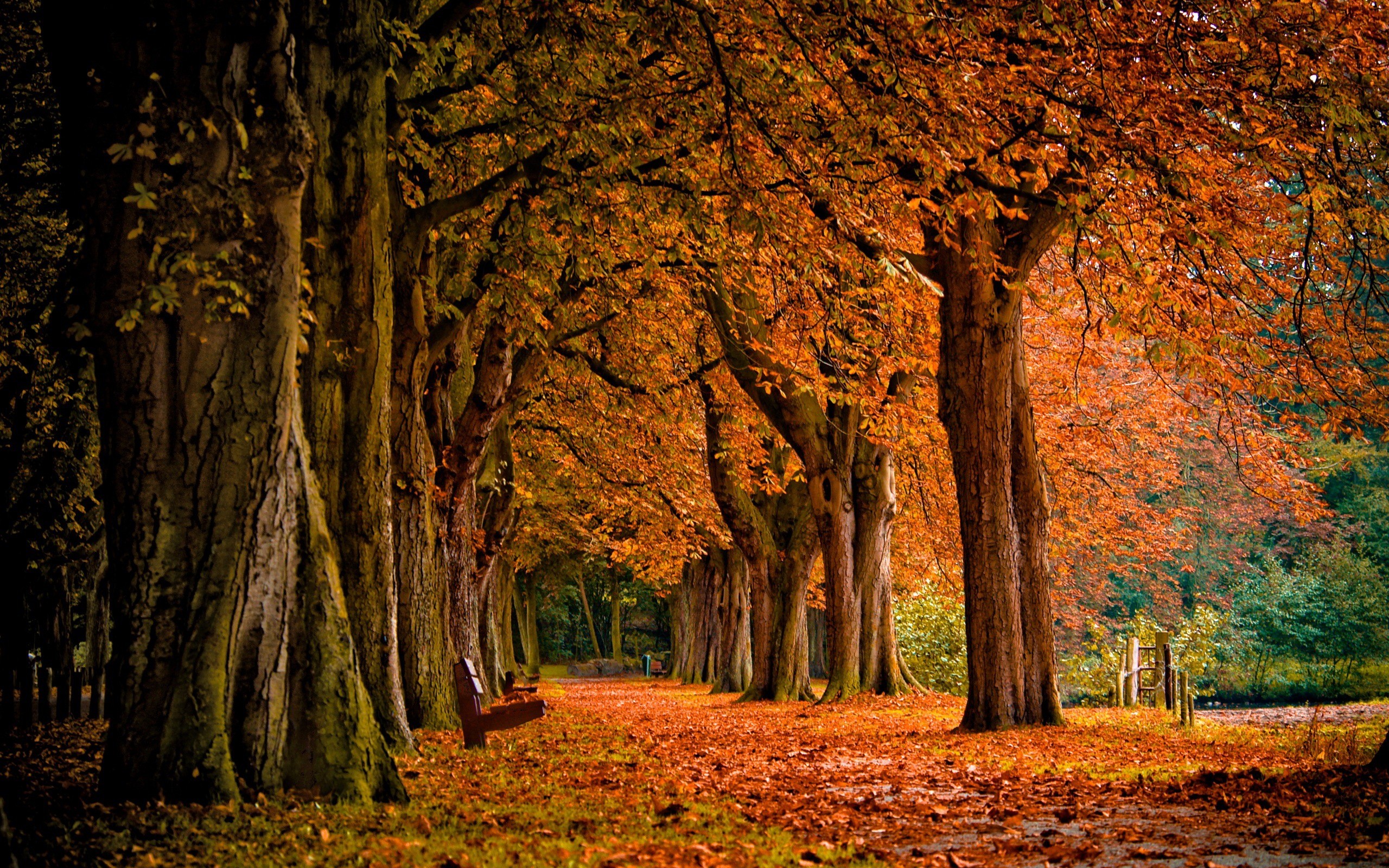 2560x1600 HD Autumn Landscape Wallpaper 8