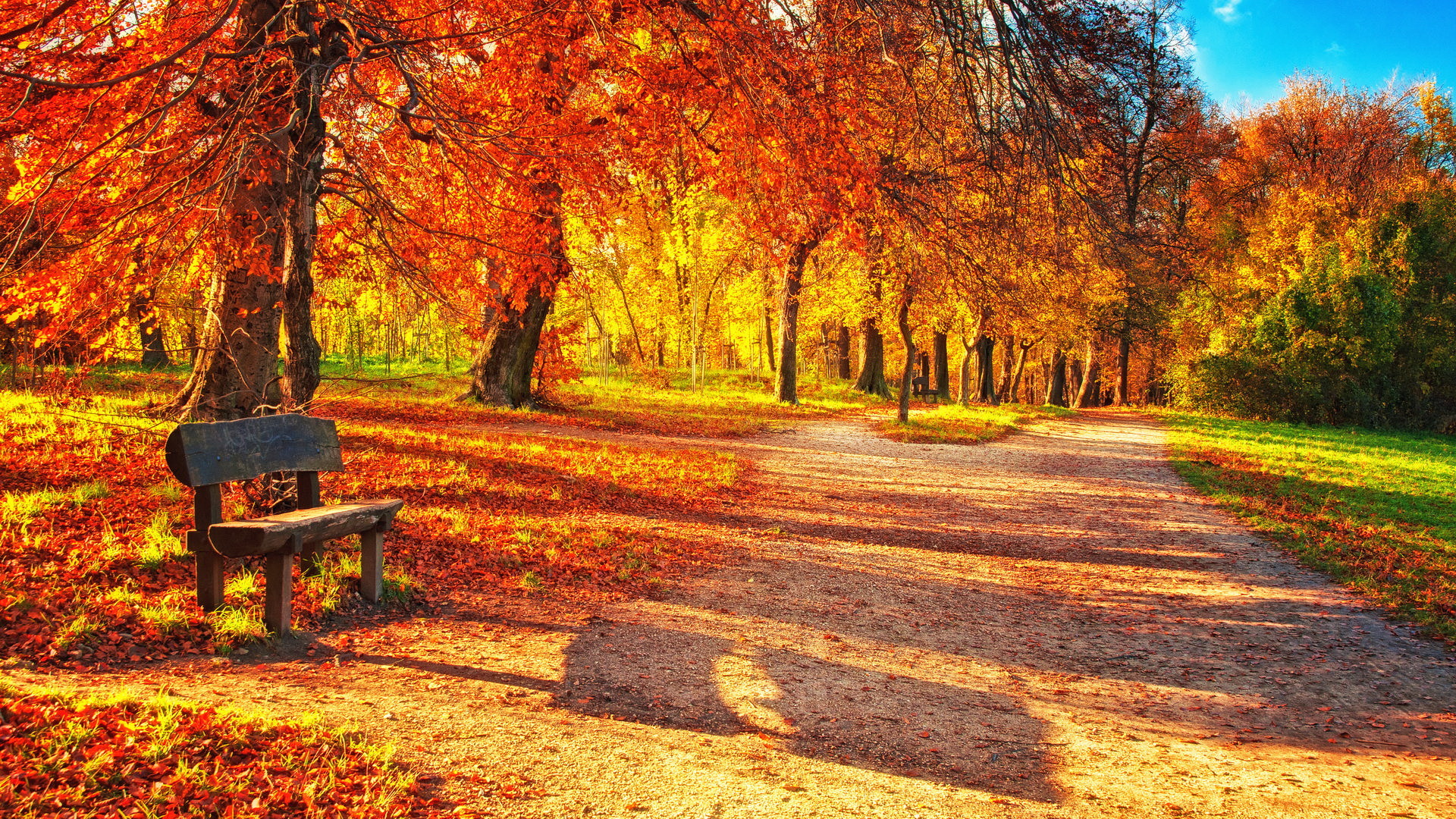 1920x1080 Autumn Leaves Desktop Background Wallpaper High Resolution Wallpapers   px 1.19 MB